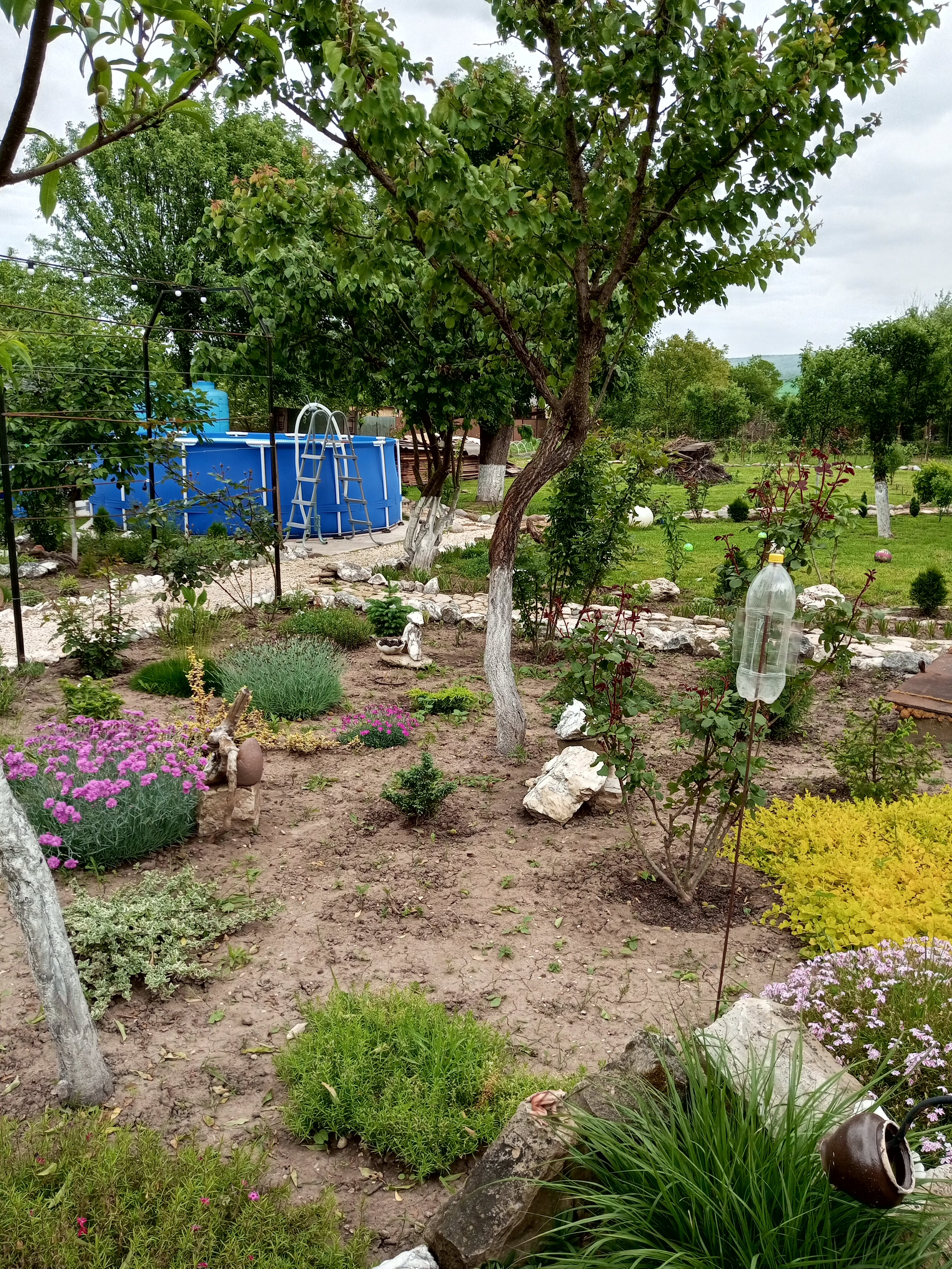 Фото Милый дом