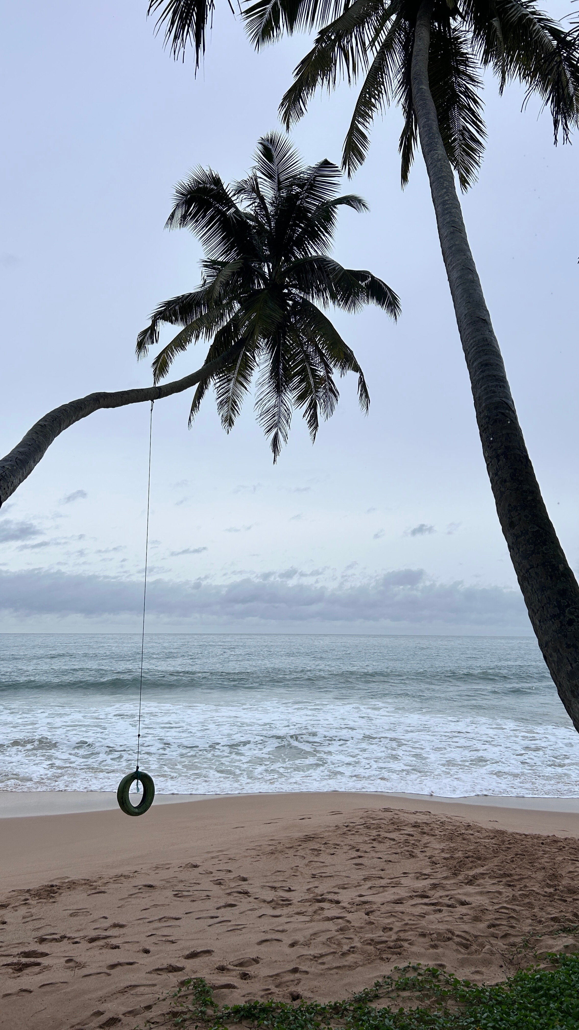 Фото J Ambalangoda