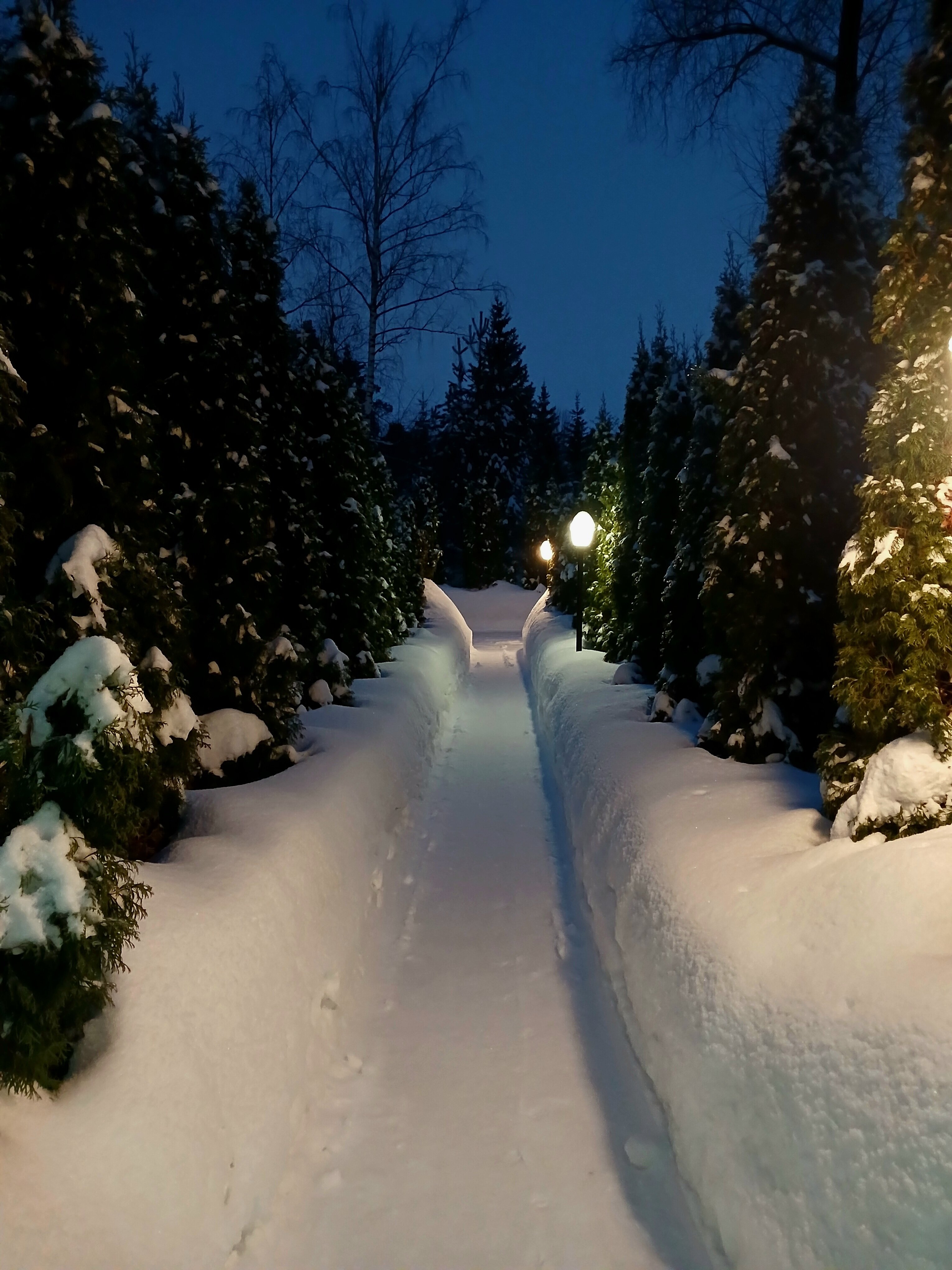 Фото Золотая осень