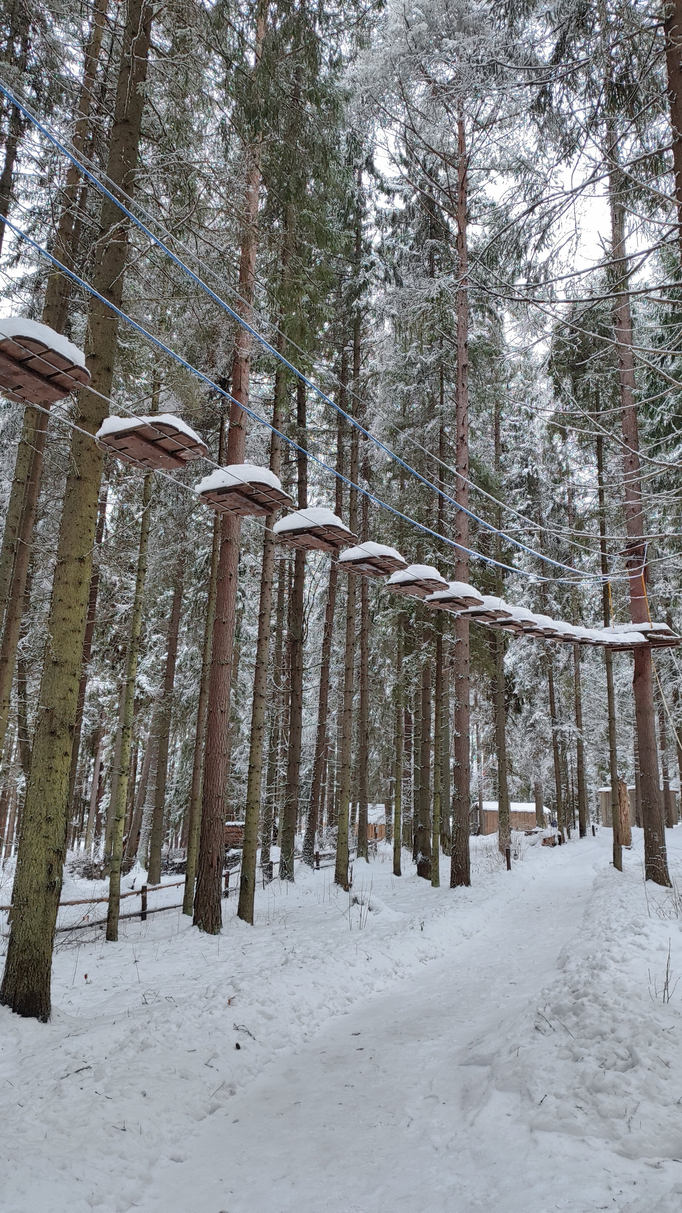Фото Домики Иволги