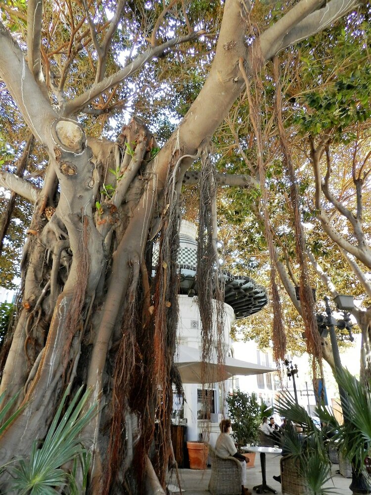 Фото Bh San Francisco Hotel Alicante