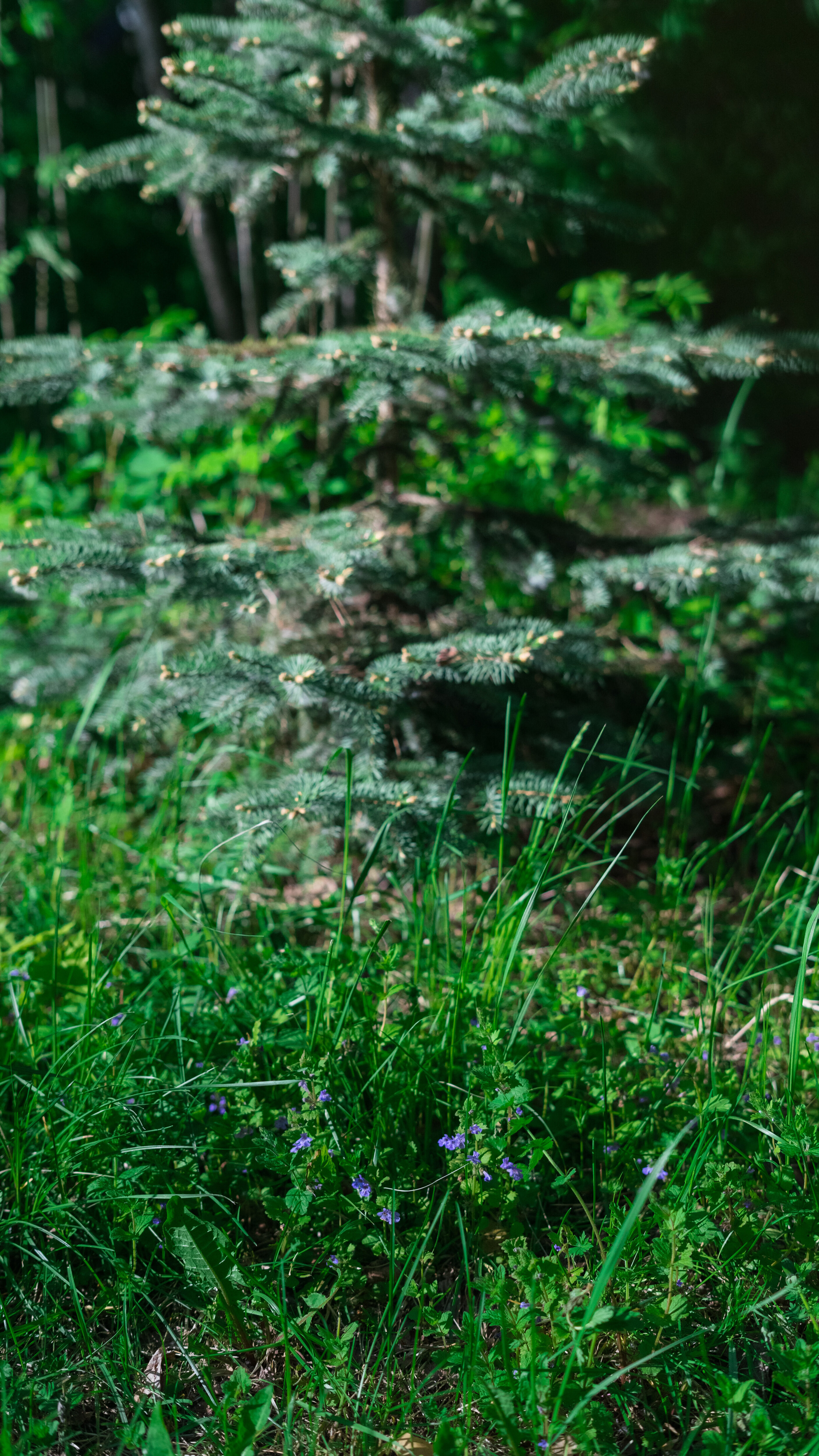 Фото Слобода