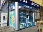 Славица (Kamyshinskaya Street, 62/1), ice cream