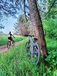 Велопрокат ВелоЯр (Karla Marksa Street, 19), bike rental
