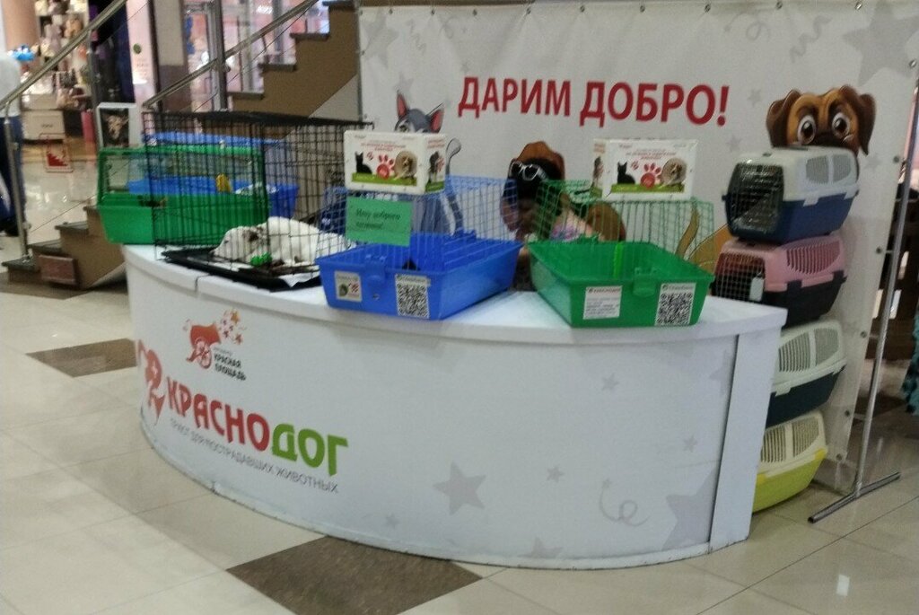 Animal shelter Краснодог, точка бесплатной раздачи домашних животных, Krasnodar, photo