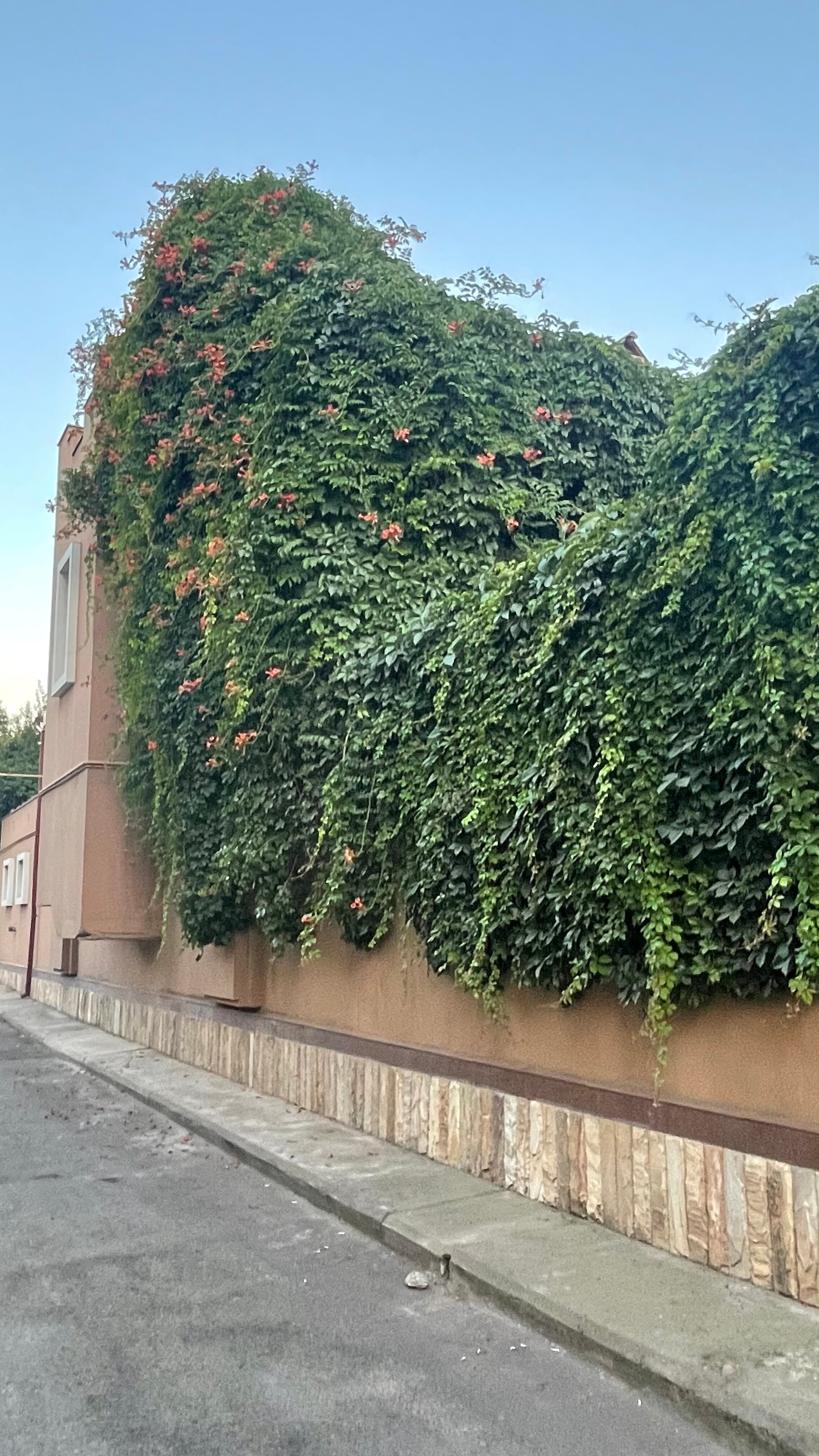 Фото Navruz Hotel Tashkent