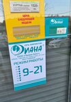 Диана (Muravskaya Street, 38к1), tintorería