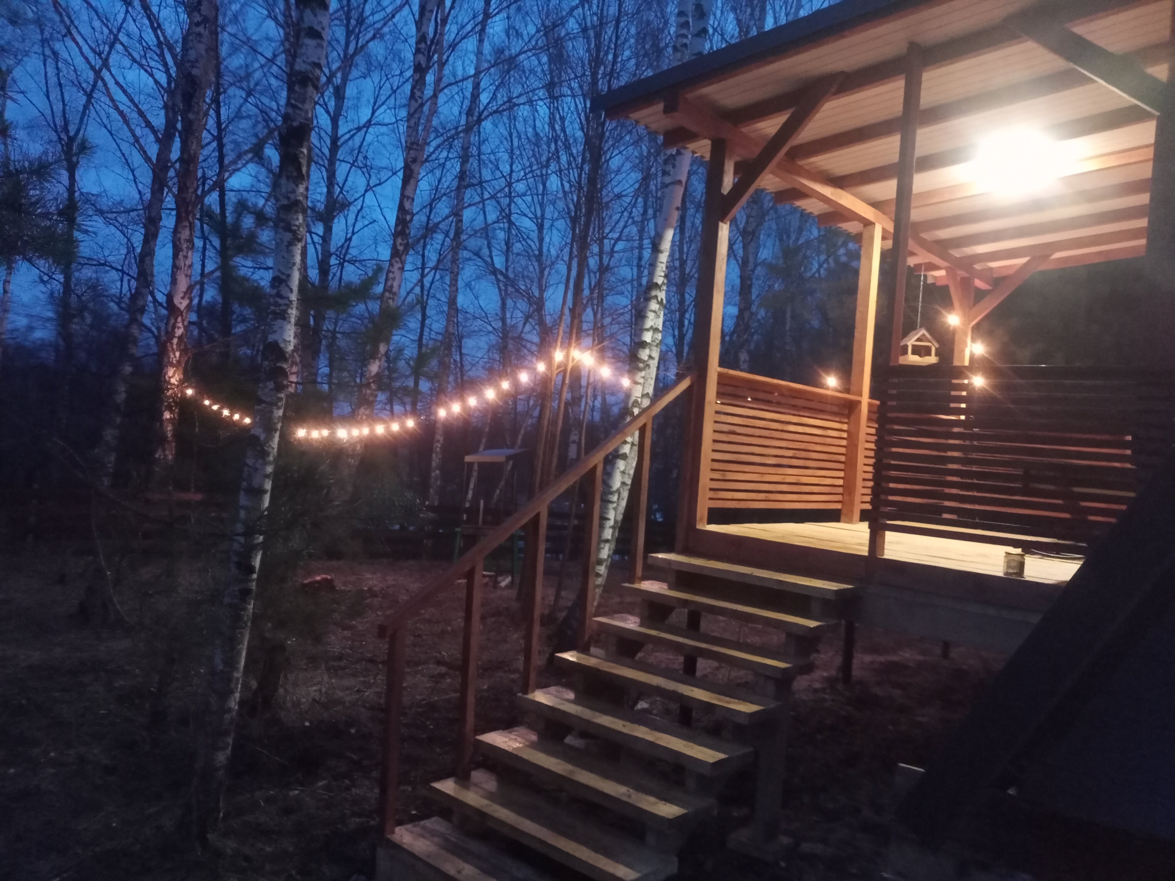 Фото Хвойный парк