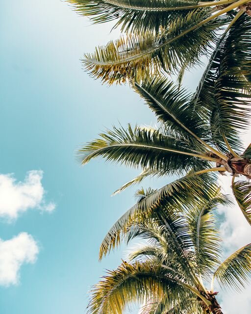 Bar, pub Royal Wings Poolbar, Antalya, photo