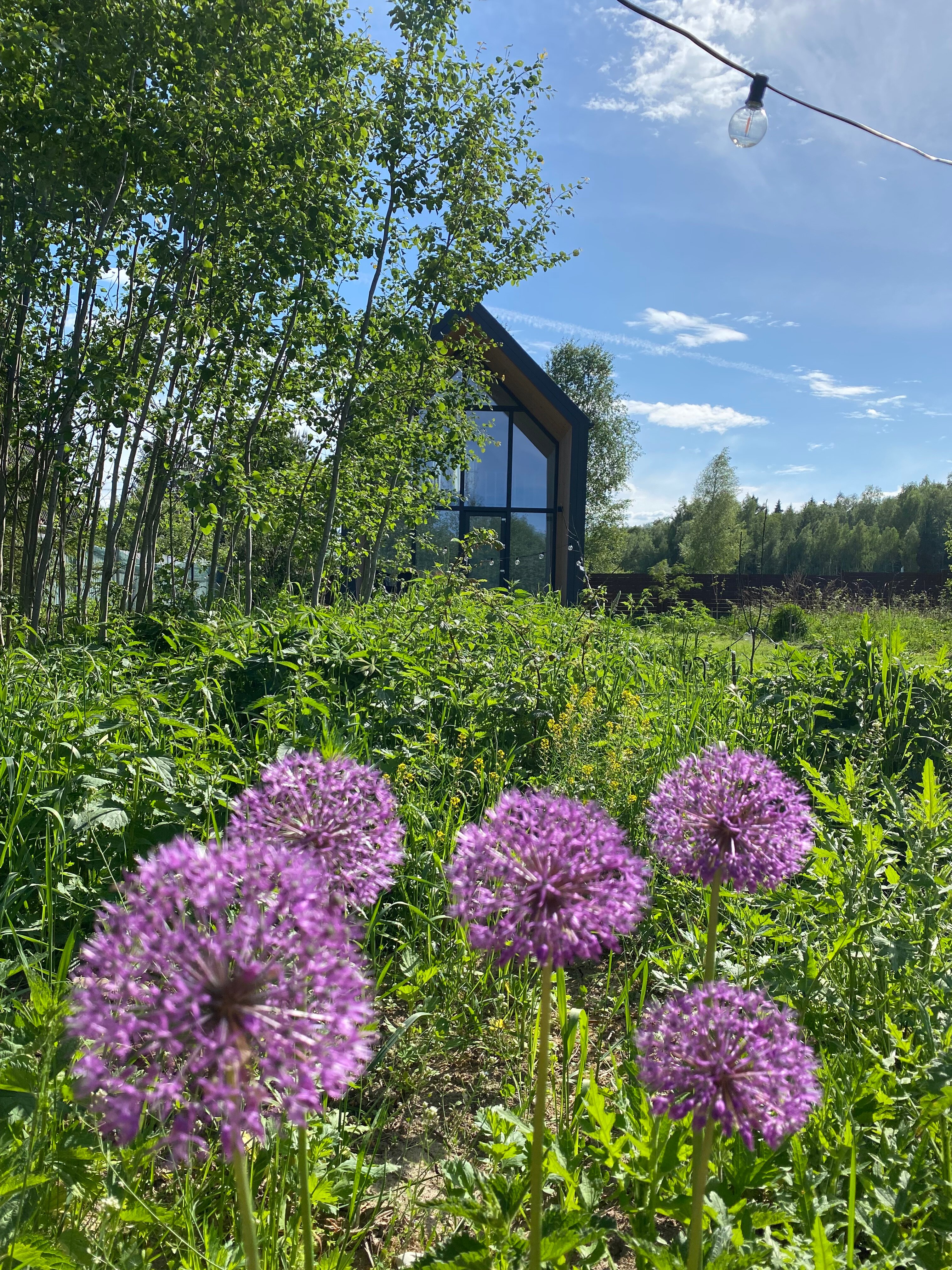 Фото Вилла Лаванда