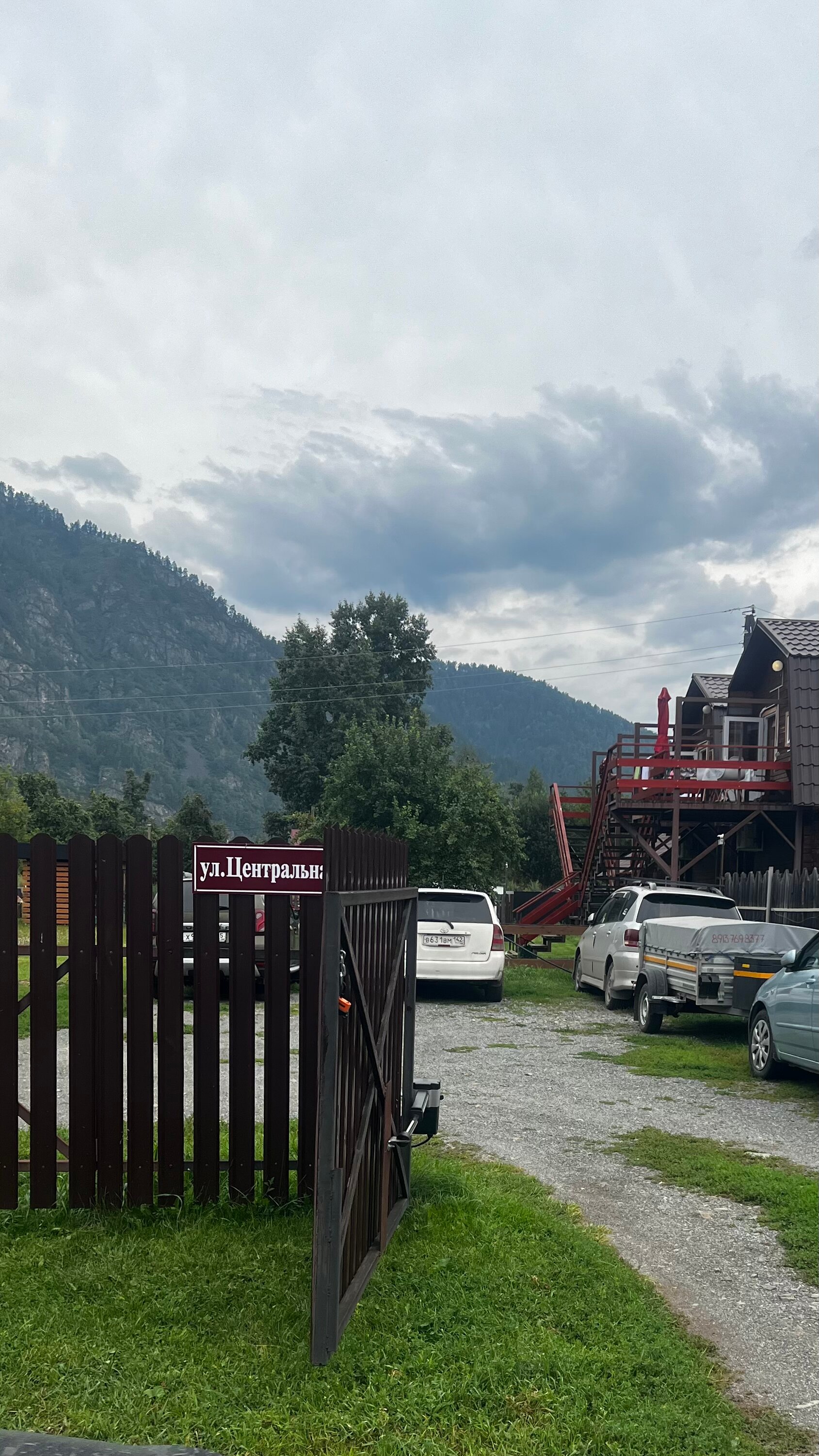 Фото Золотой медведь