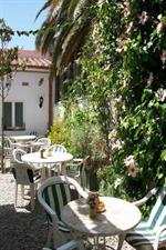 Фото Hotel Mitus