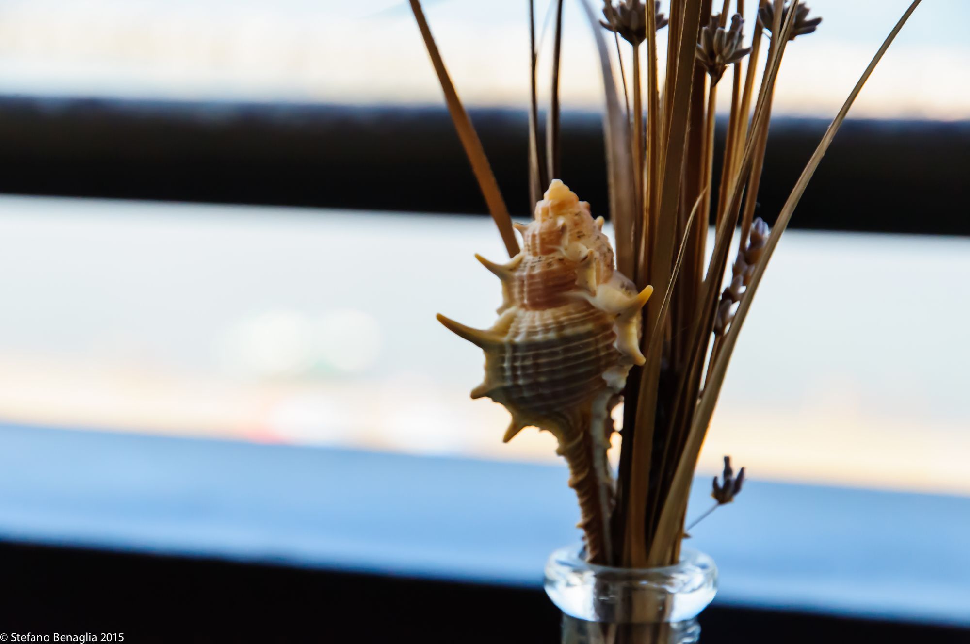 Фото Residence Belvedere Vista