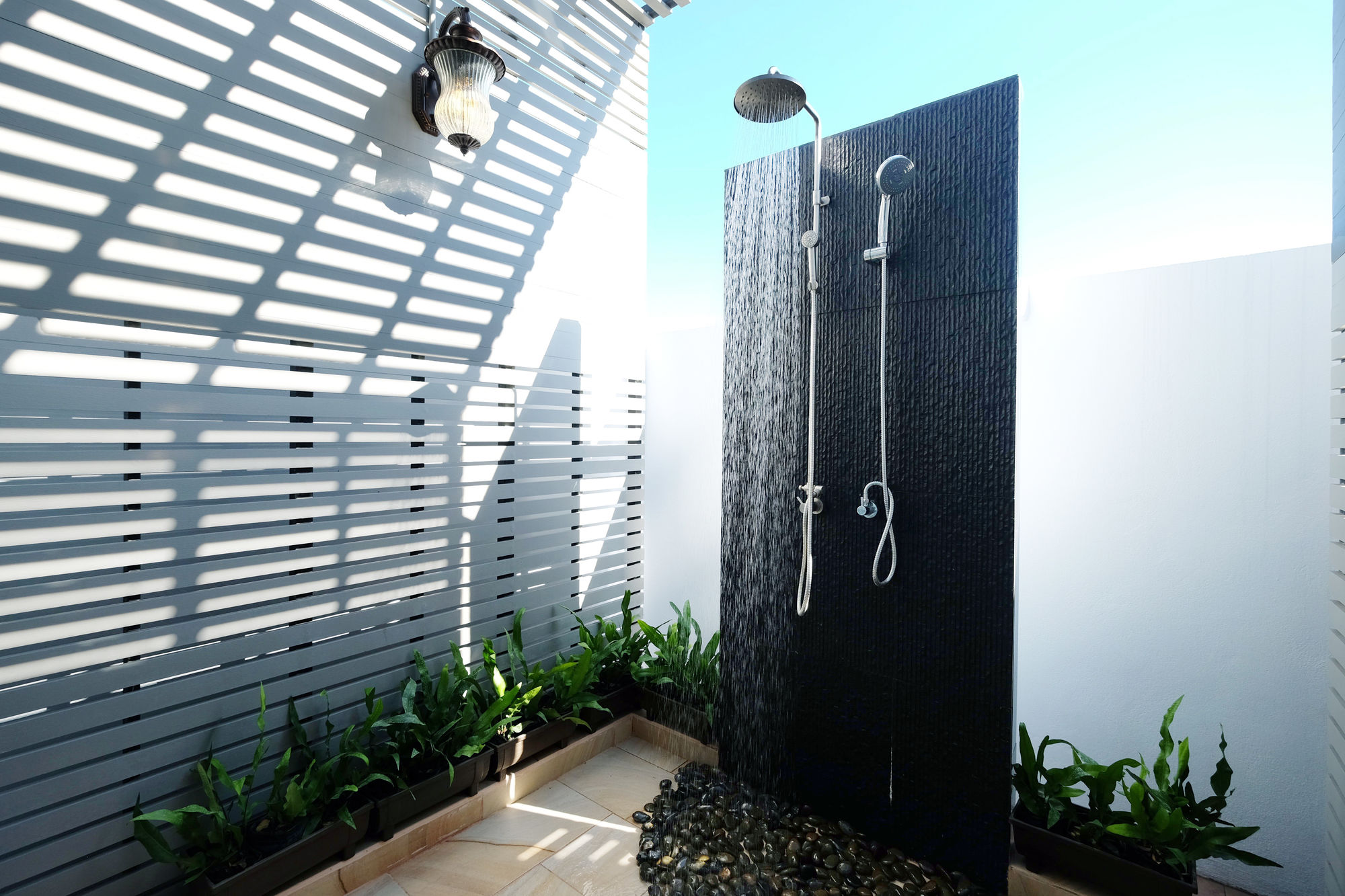 Фото Sea Sand Trees