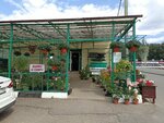 Centr Sadovoda (Moscow Region, Sergiyev Posad), centro de jardinería