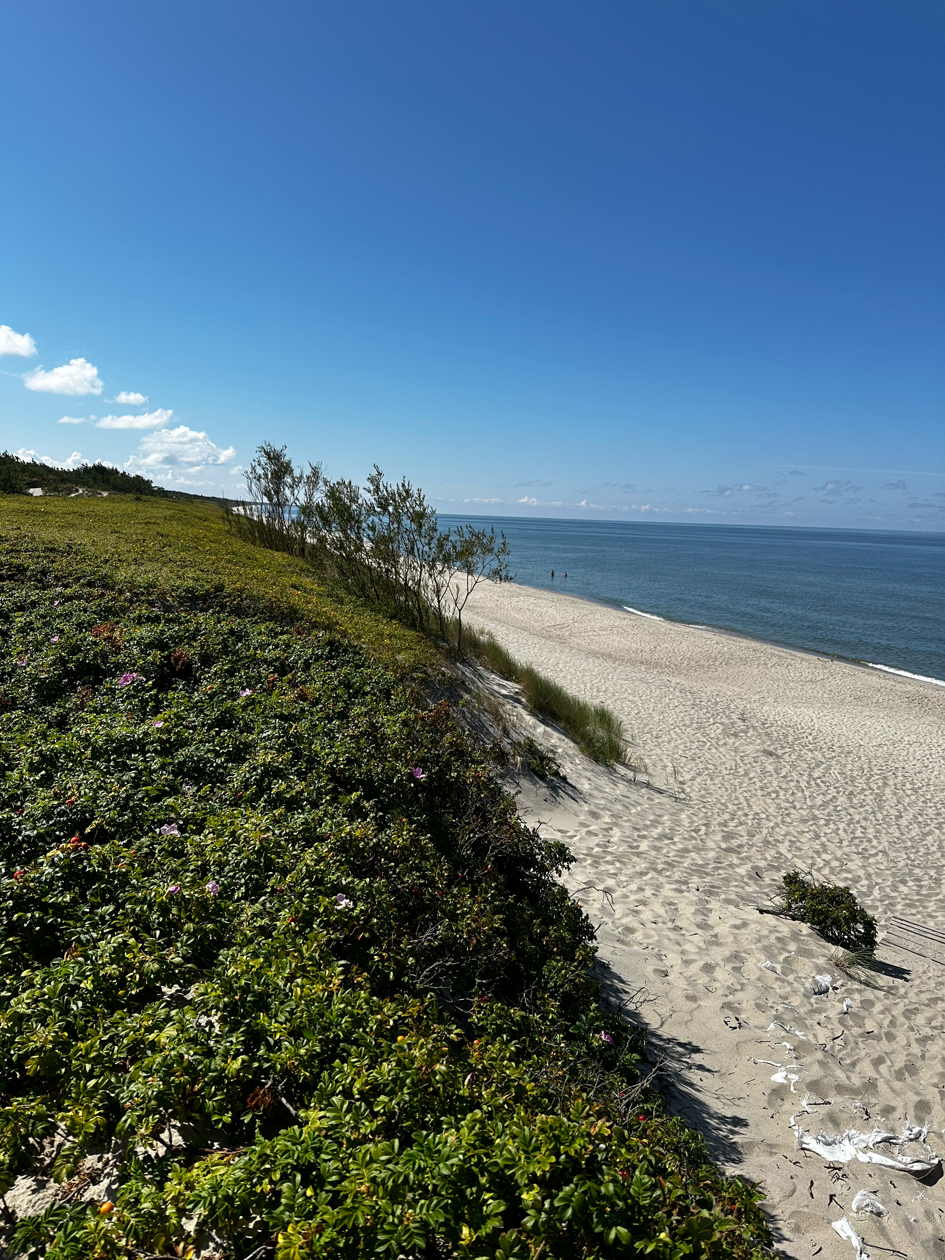 Фото Фрише Нерунг