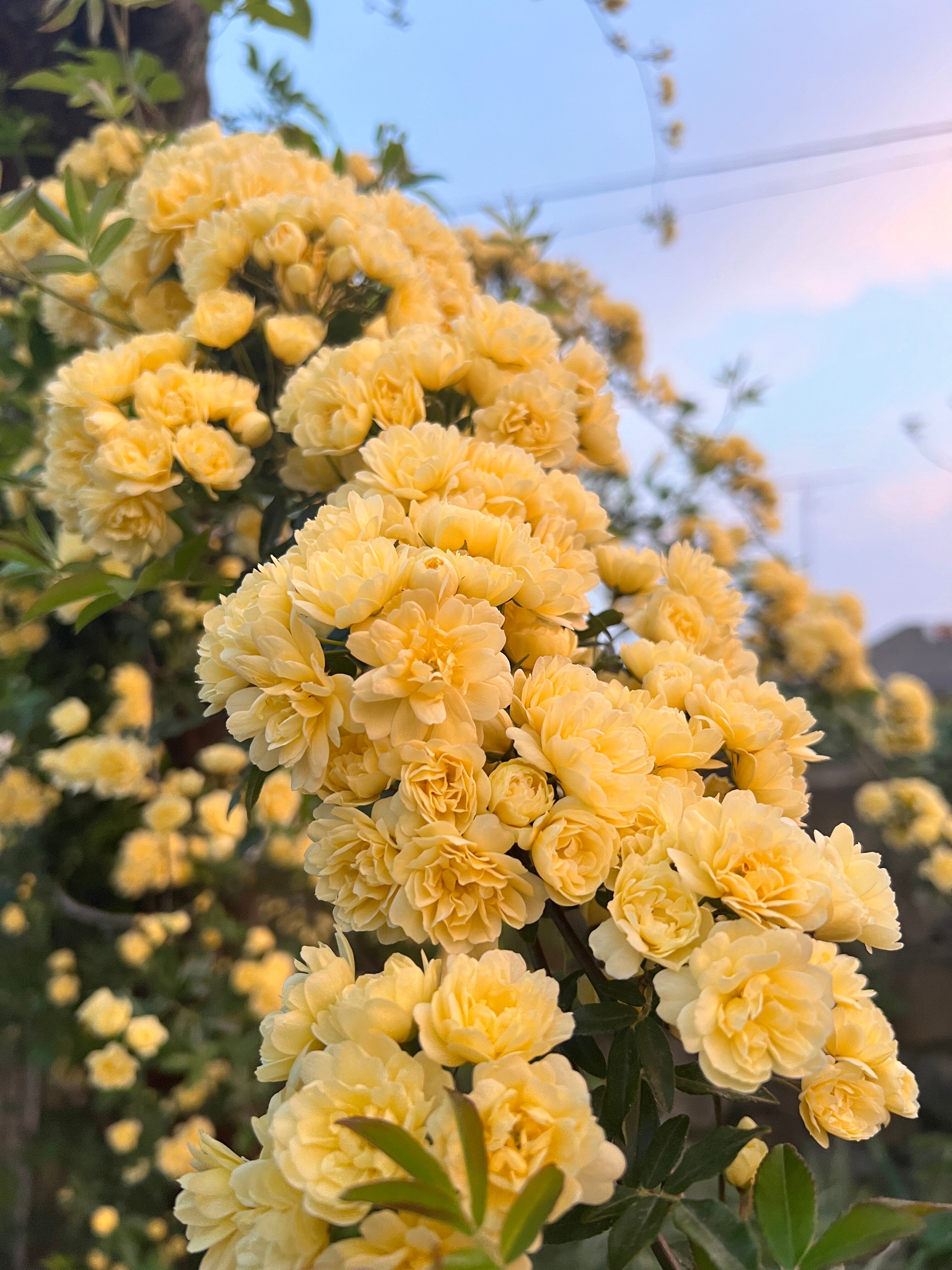 Фото Шале у моря