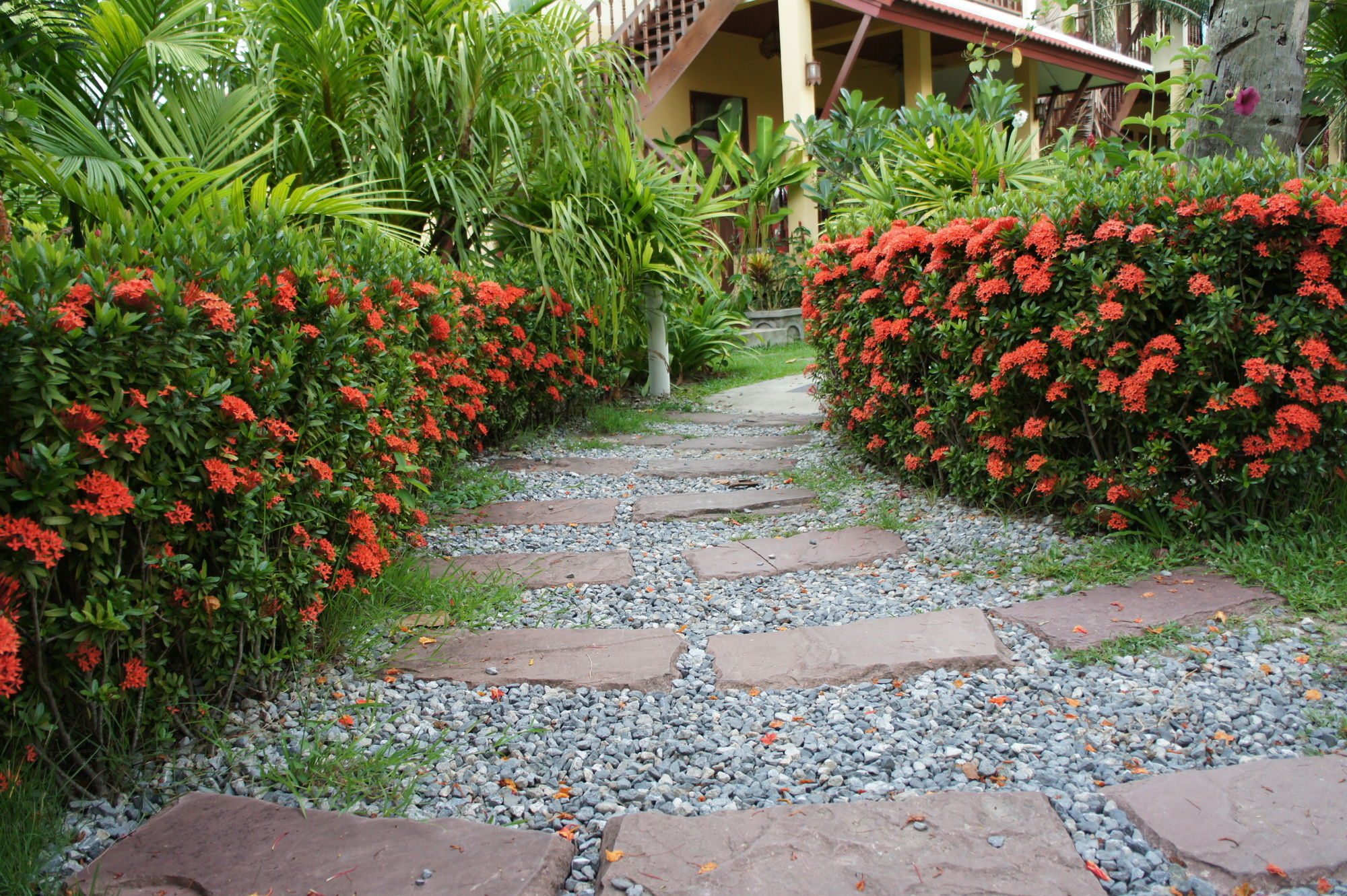 Фото Palm Village Phuket Hotel