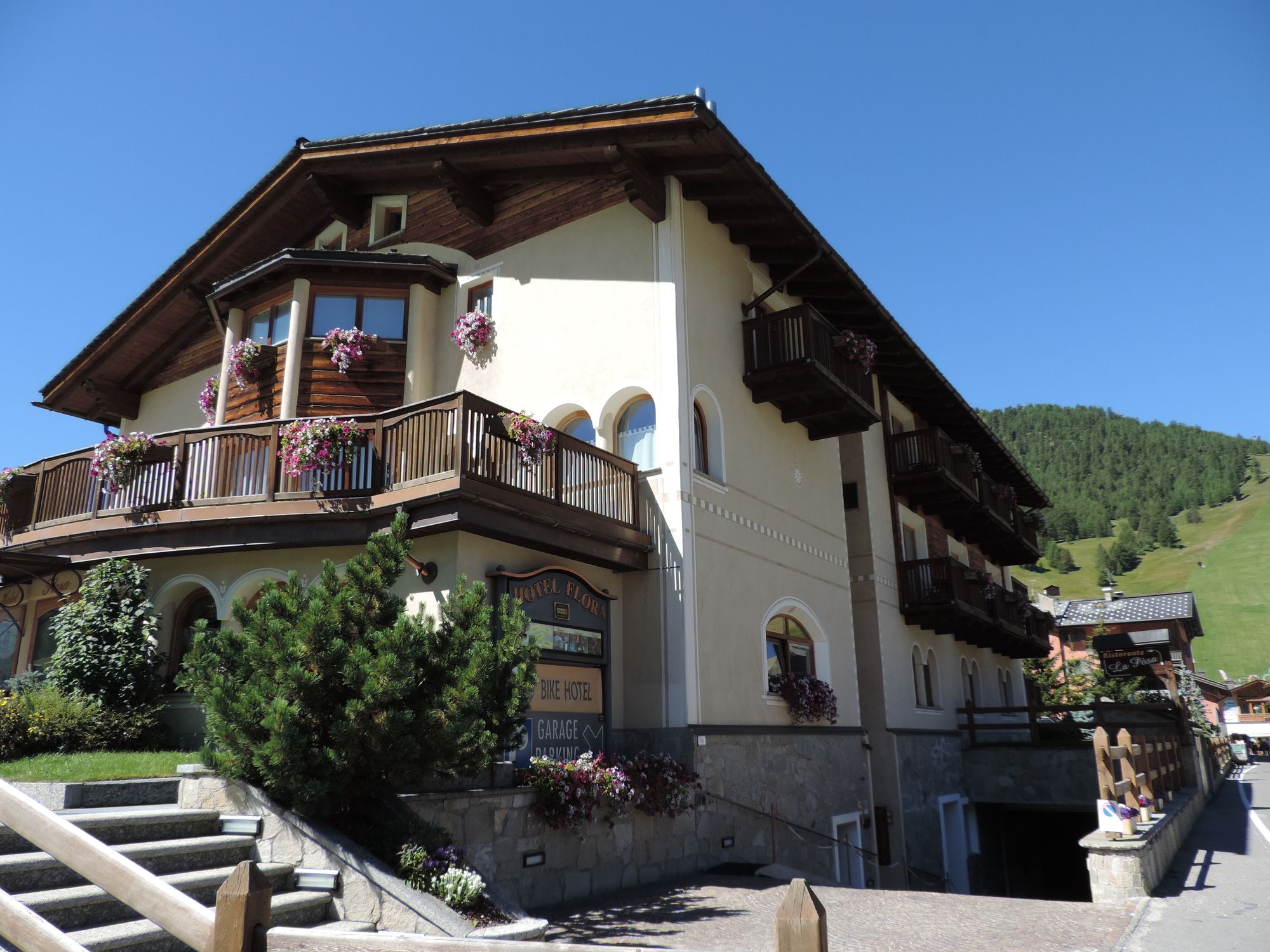 Фото Hotel Flora