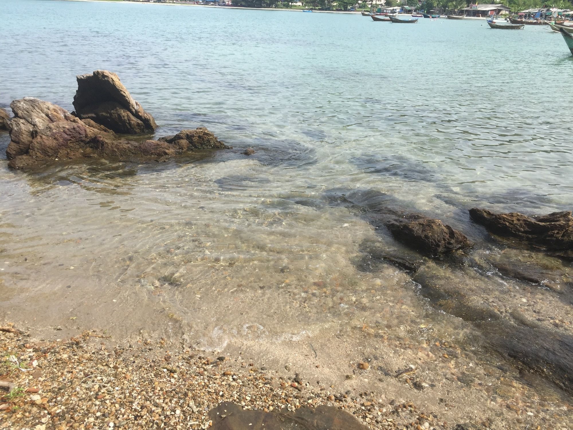 Фото Tree Roots Retreat