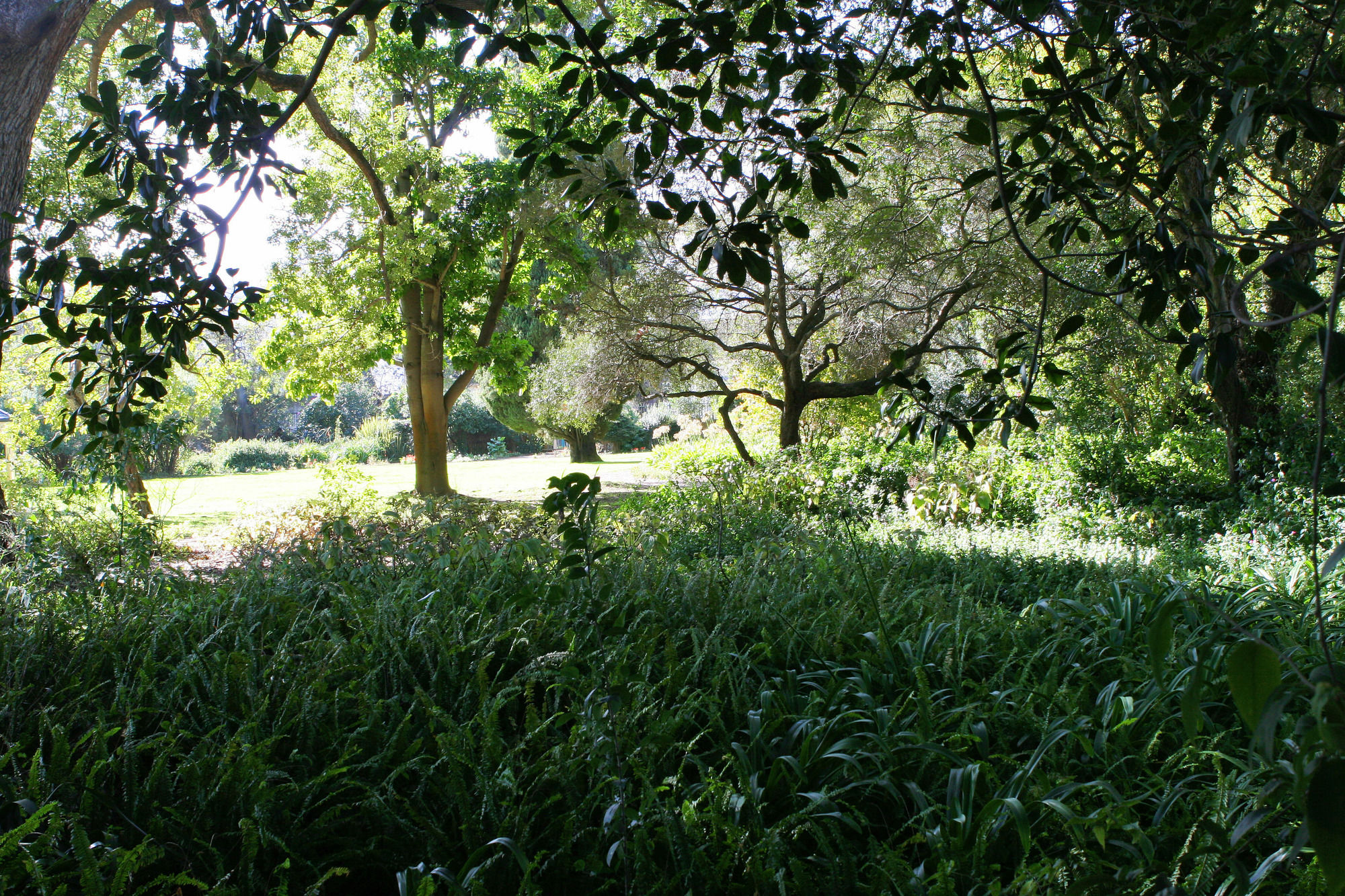 Фото Avemore Wag ‘n Bietjie № 1