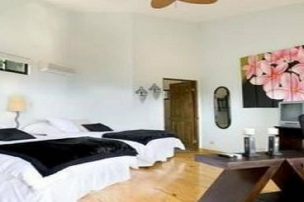 Фото Boutique Hotel Out of Bounds Costa Rica