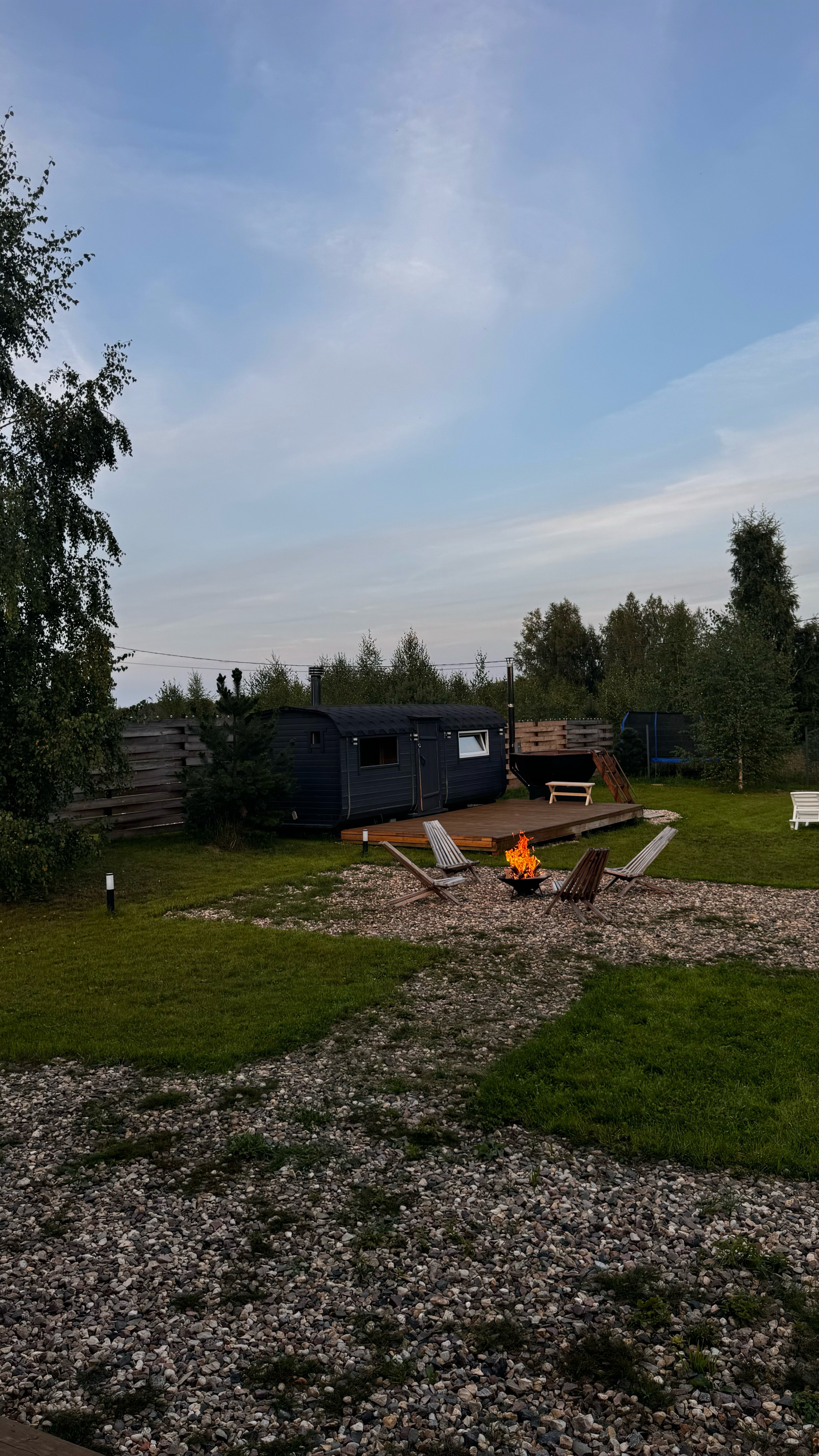 Фото Лес и Волга