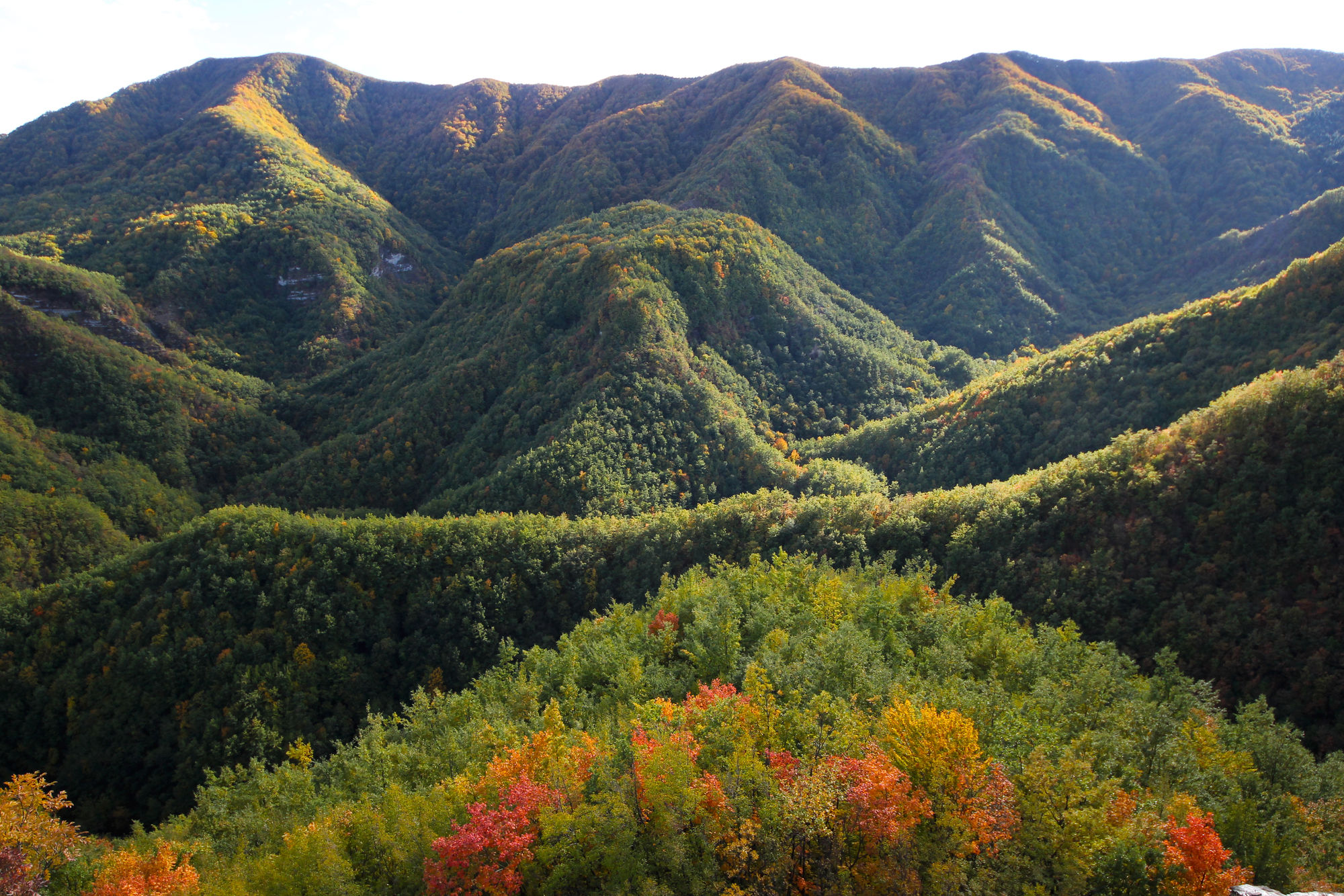 Фото Grand Hotel Terme Roseo