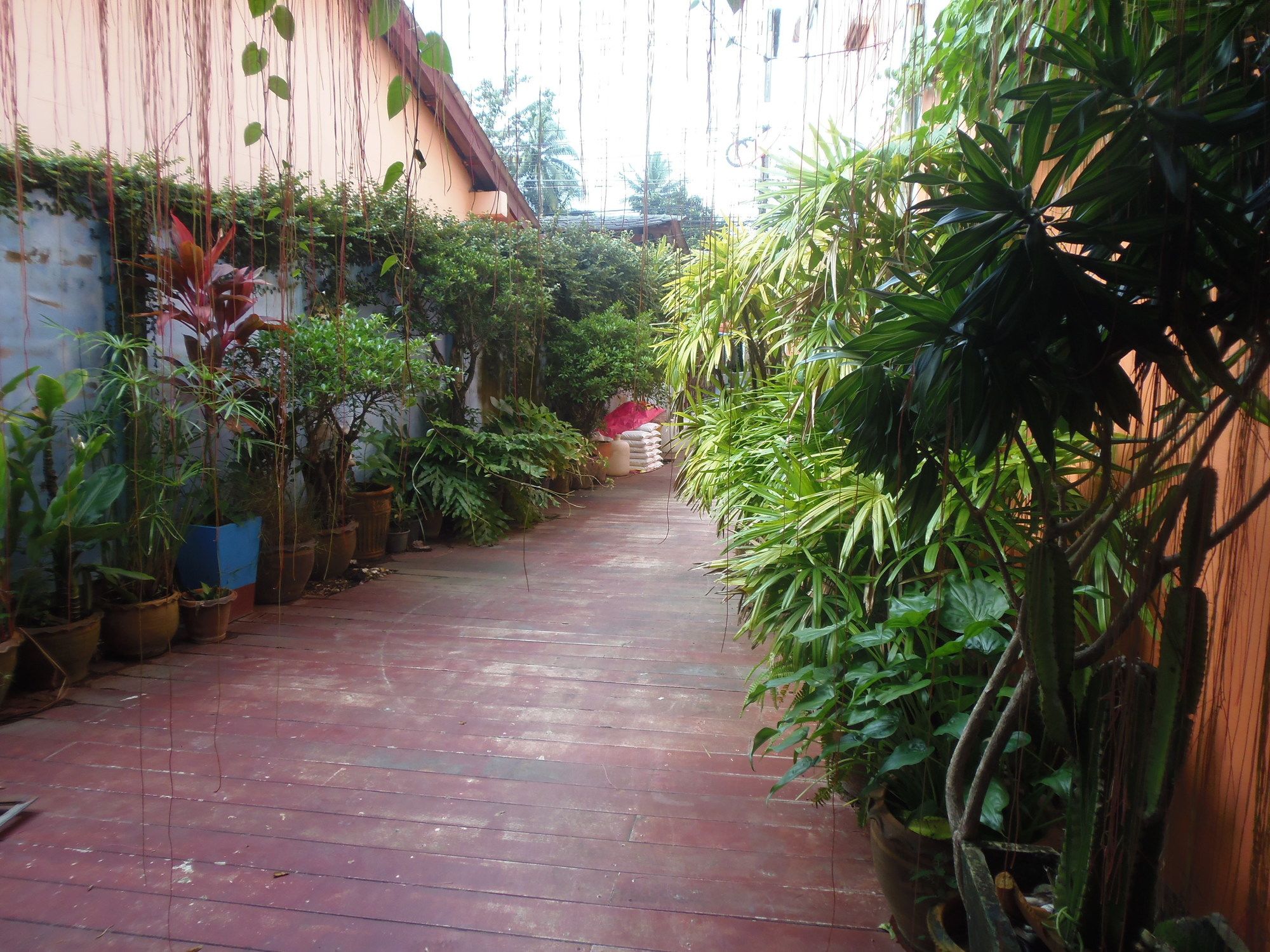 Фото The Orange City Resort