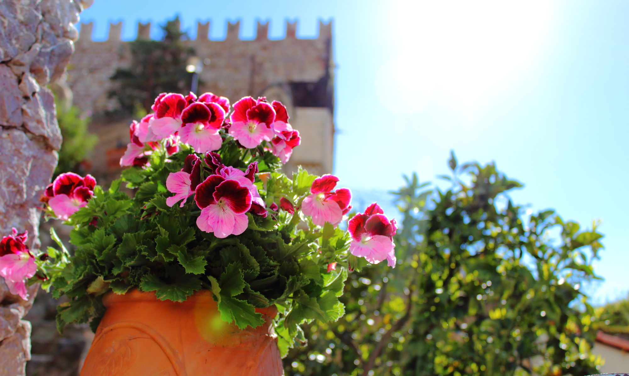 Фото Villa Taormina