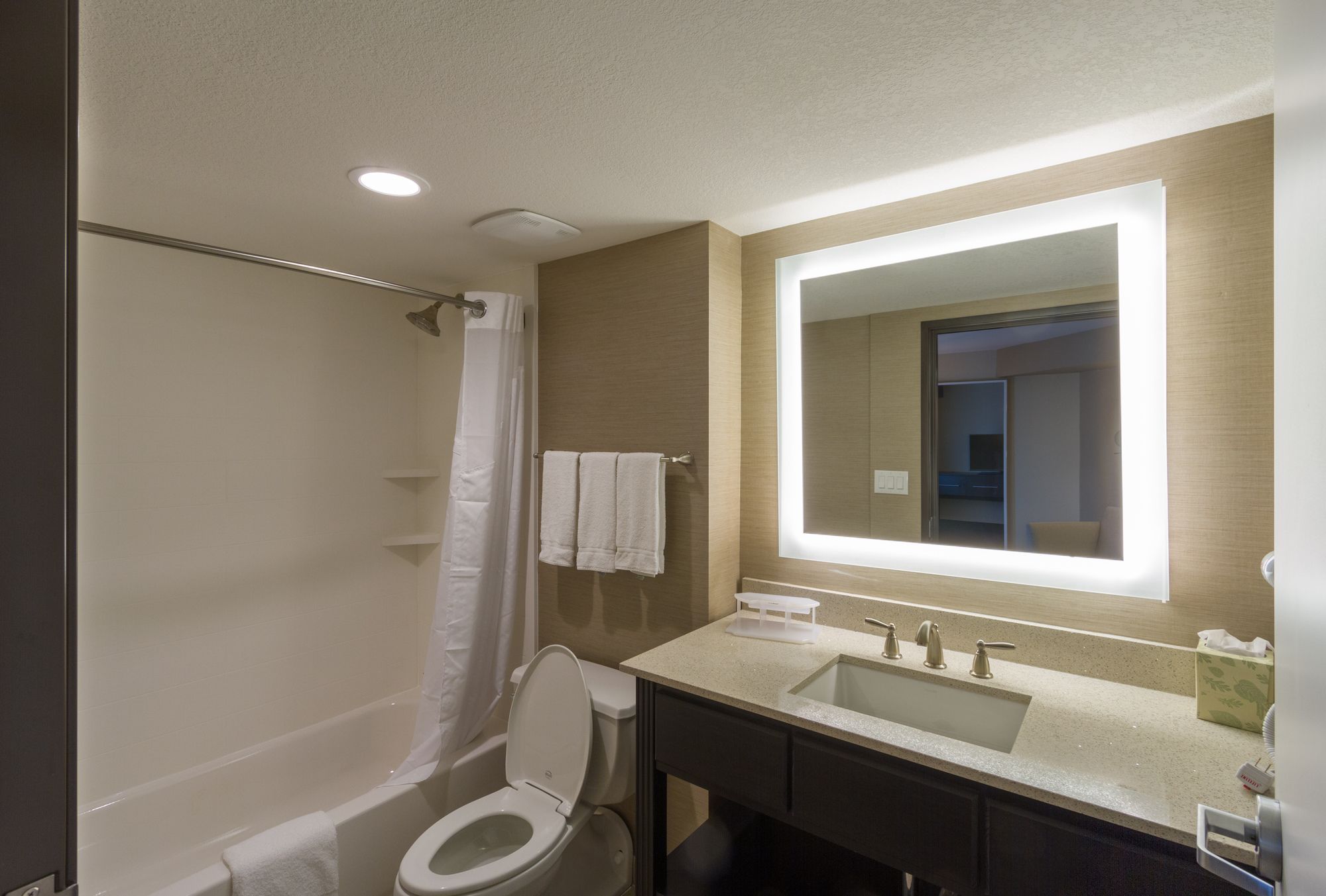 Фото Holiday Inn Express & Suites San Antonio Medical-Six Flags, an Ihg Hotel