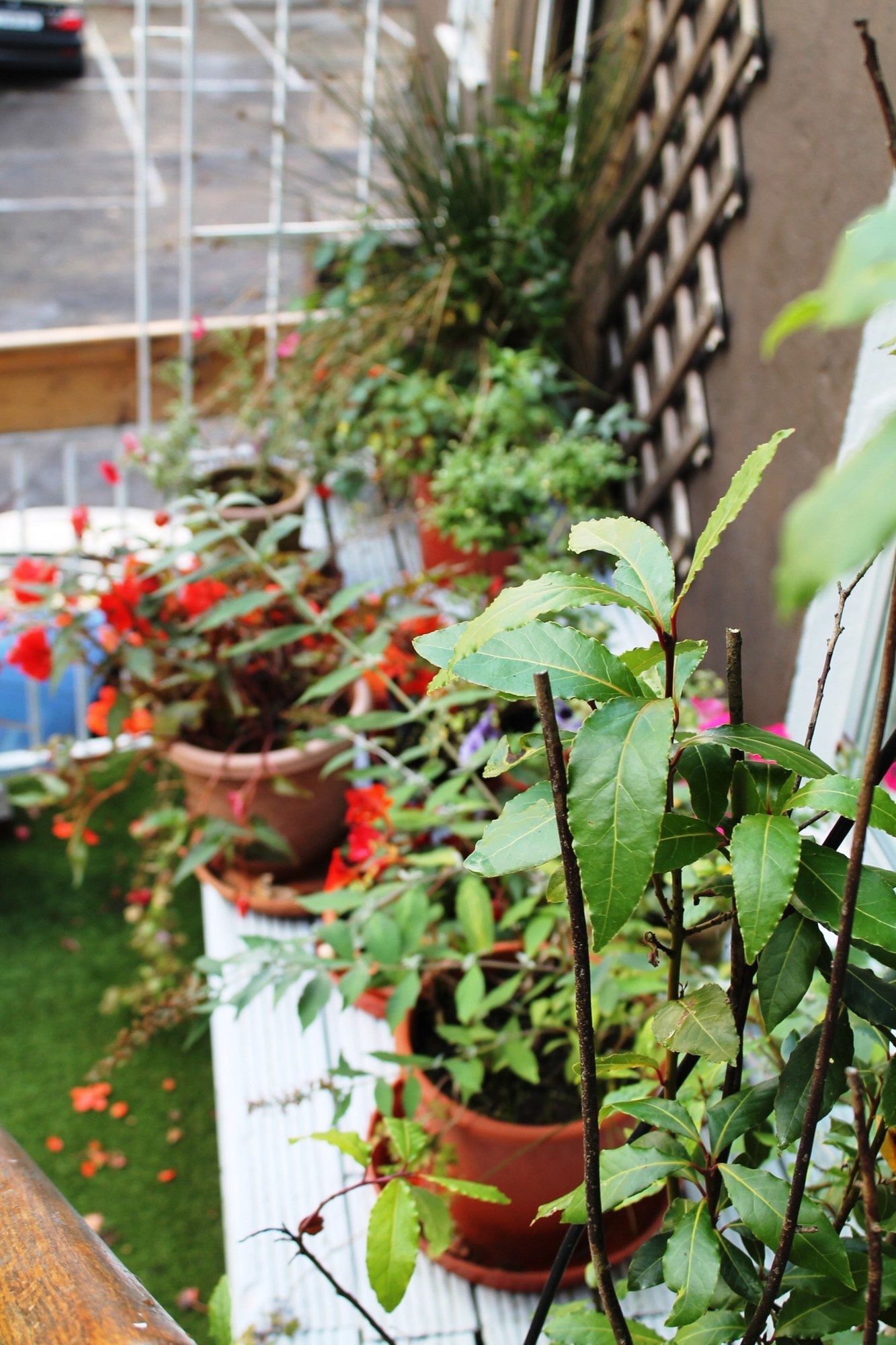 Фото Ashley Hotel