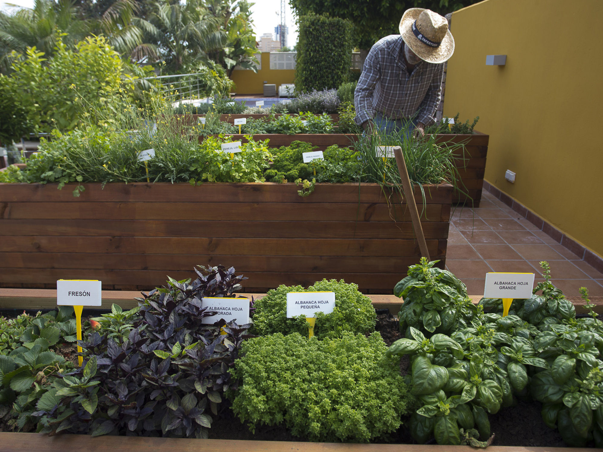 Фото The Cook Book Gastro Boutique Hotel & SPA