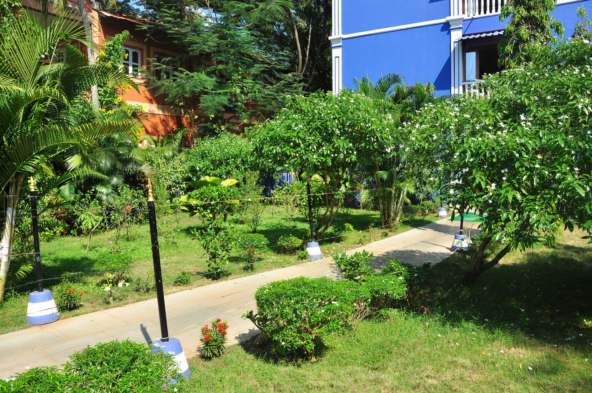 Фото Mayflower Beach Resort