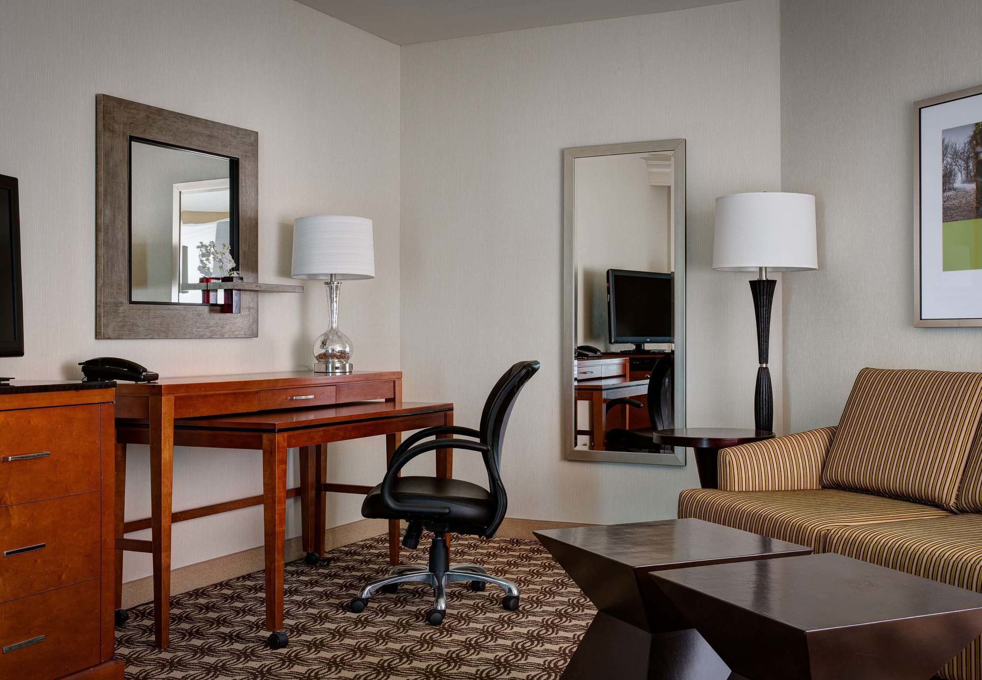 Фото The Woodlands Waterway Marriott Hotel & Convention Center