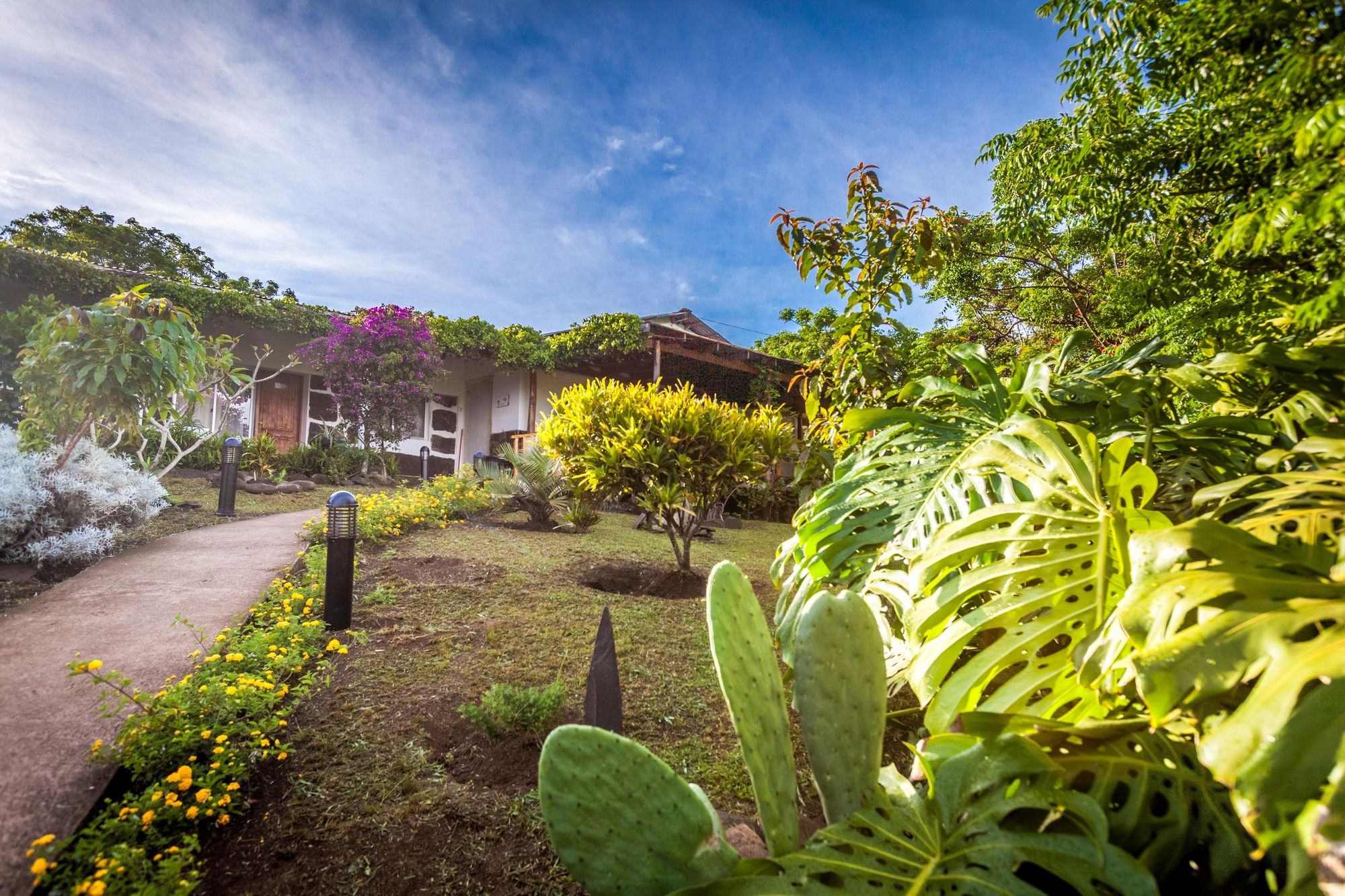 Фото Easter Island Eco Lodge