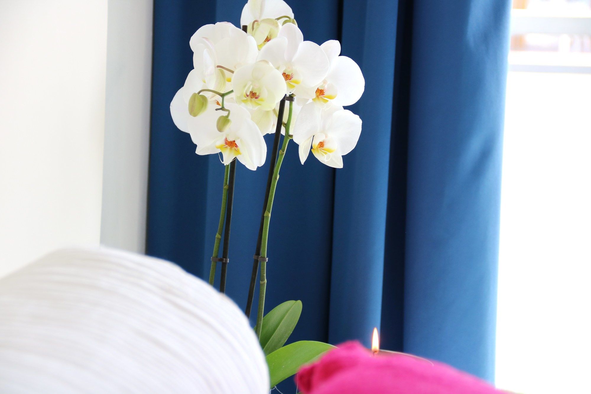 Фото Design Hotel Astra B&b