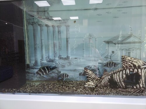 Гостиница Атлантида в Анапе