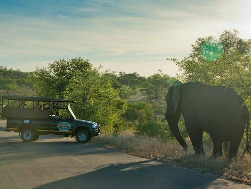 Внешний вид отеля Kruger Adventure Lodge в Мбомбеле, фото 5