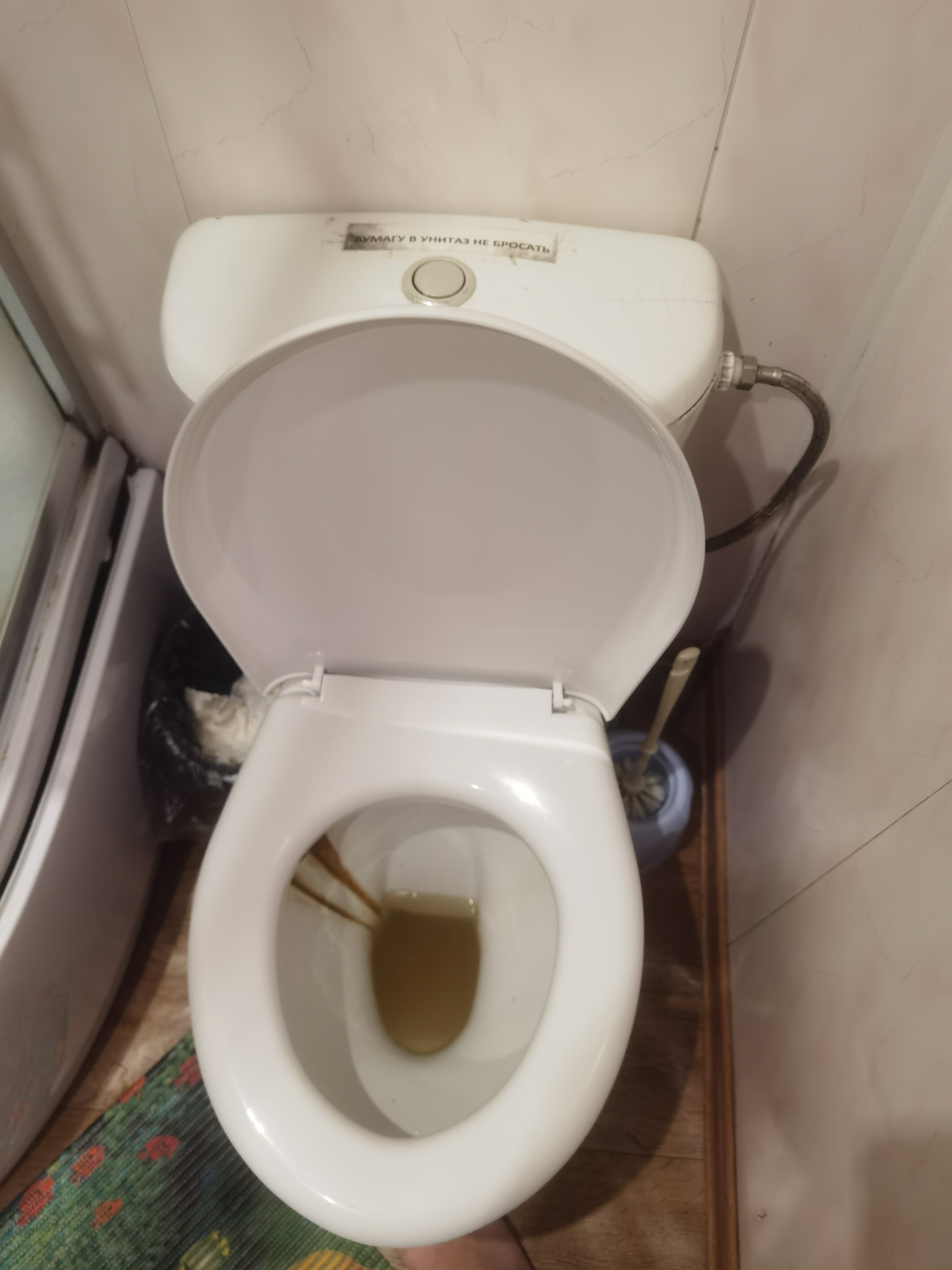 Фото Прибалтийский