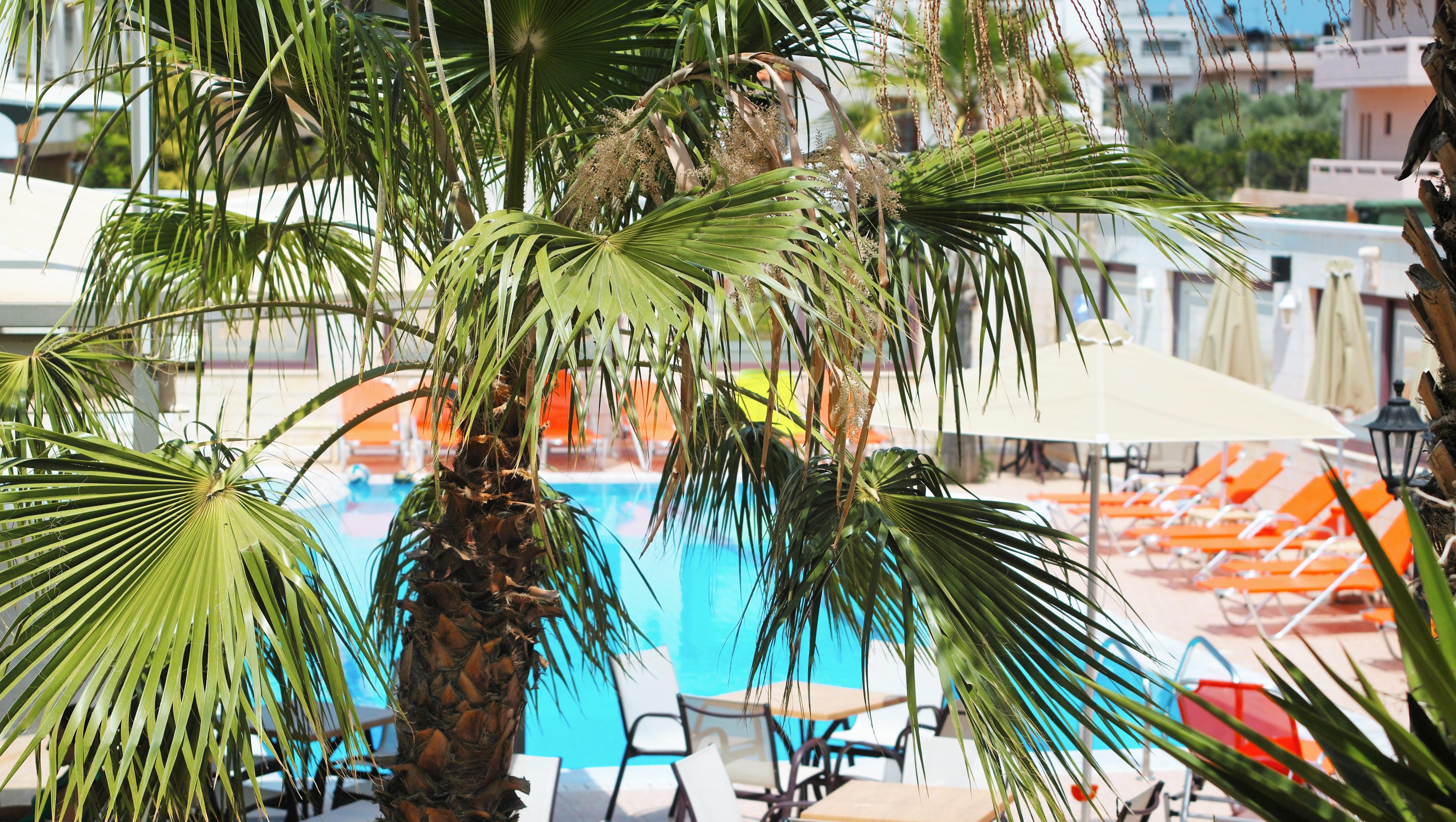 Фото Bella Elena