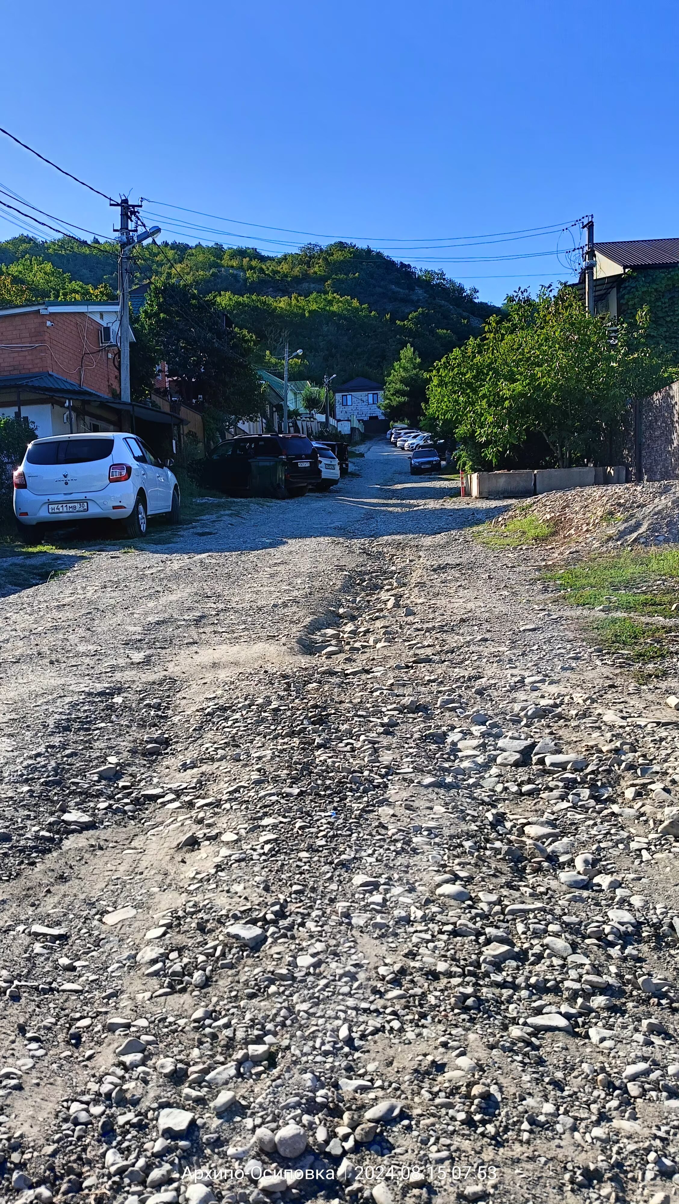 Фото Селена