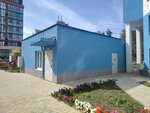 Форт (Semashko Street, 28), hoa, junta directiva de snt