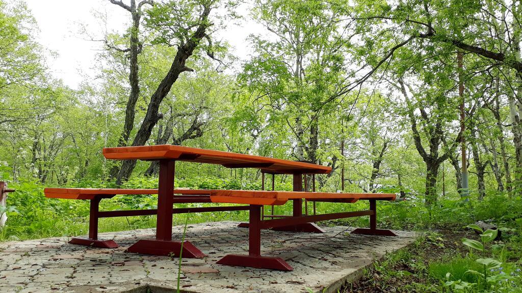 Фото Солнечная