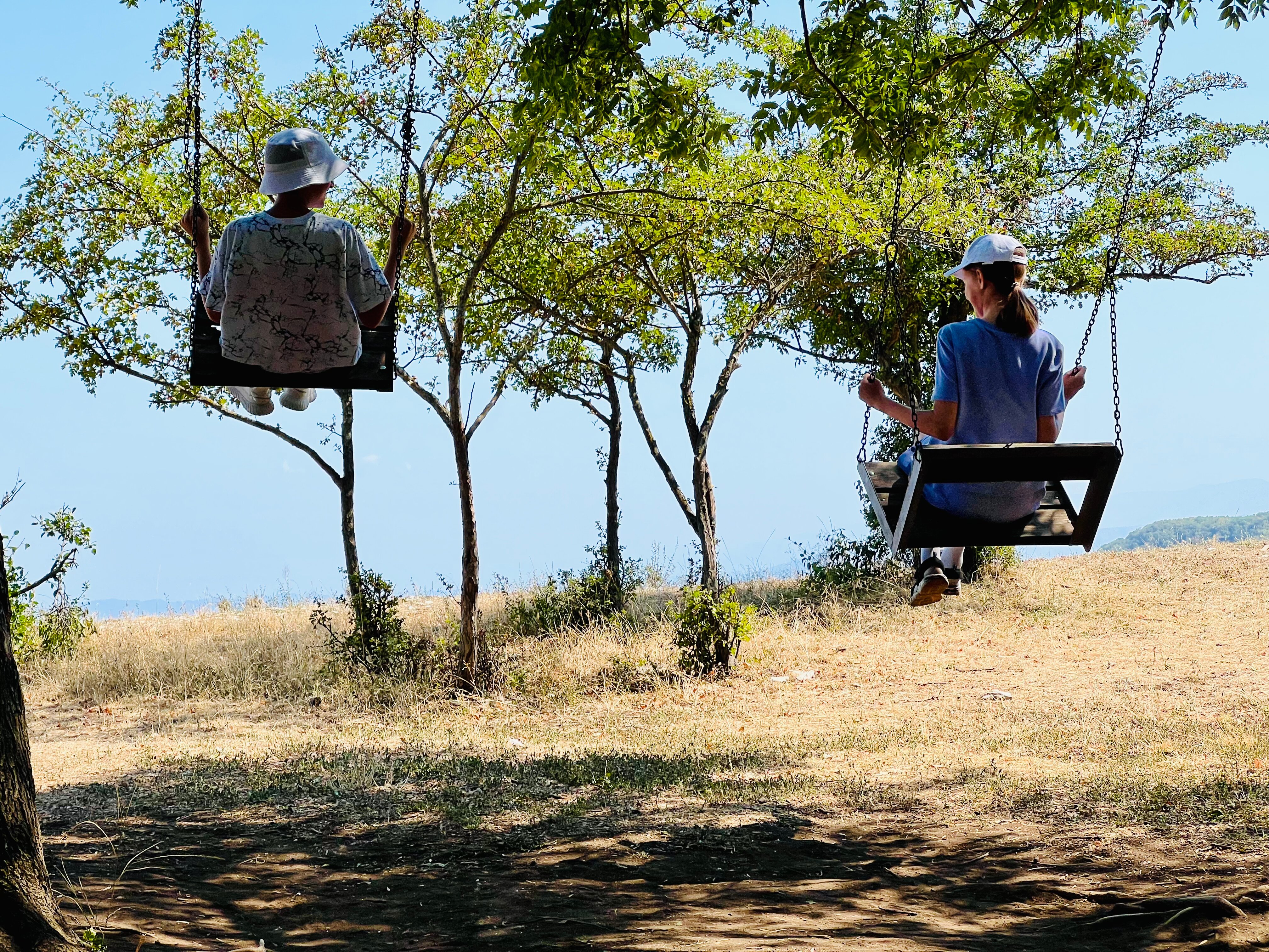 Фото КФХ Родник