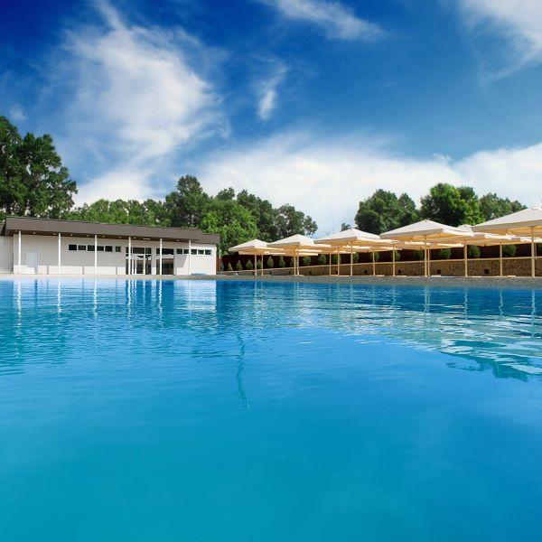 Фото Наша Хвоя