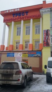 Трест