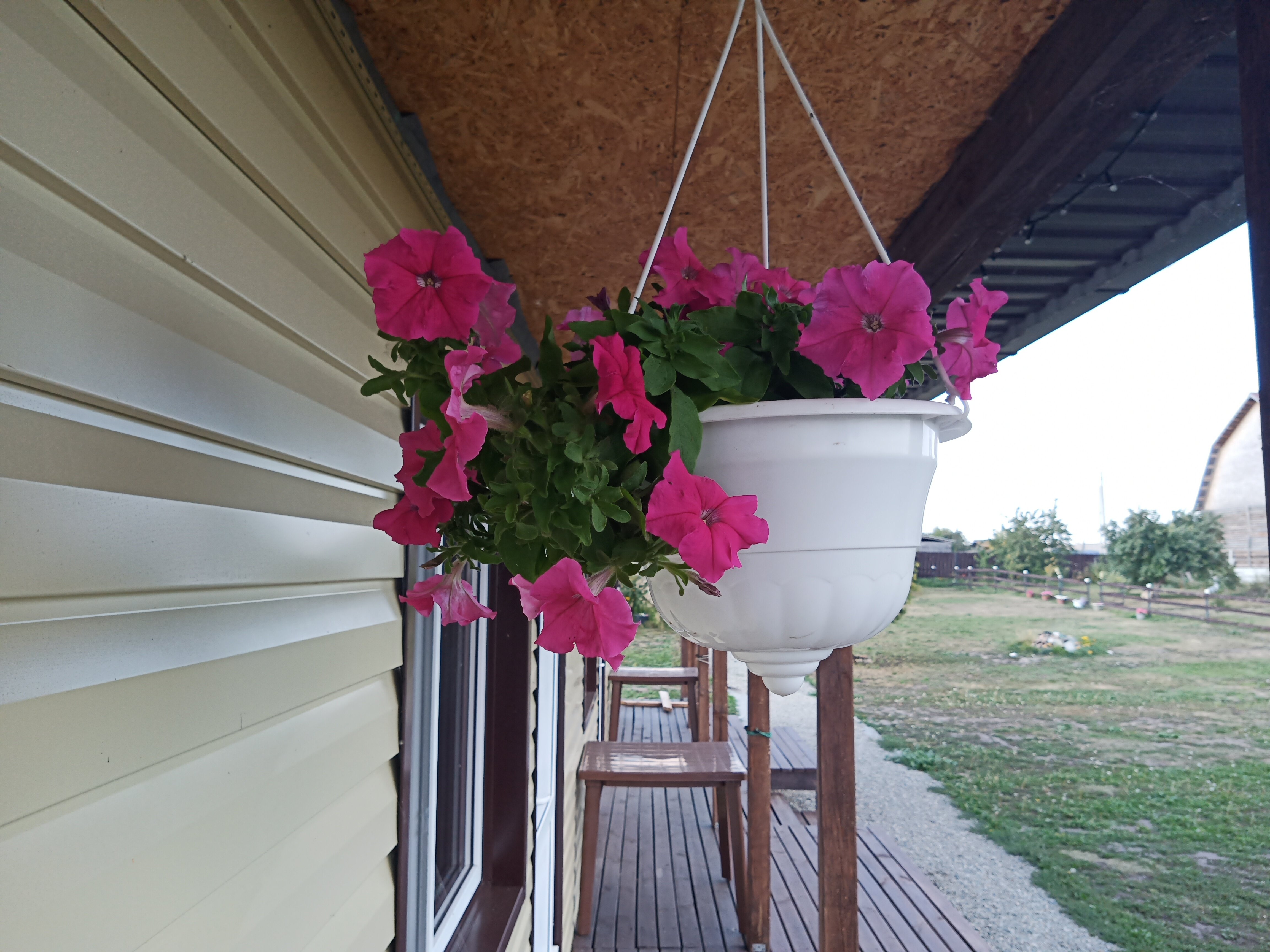 Фото Медвежье