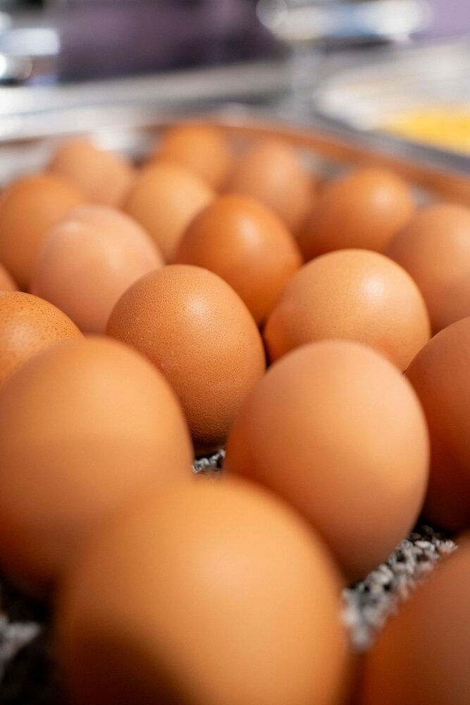 Фото Prizeotel Dresden-Mitte