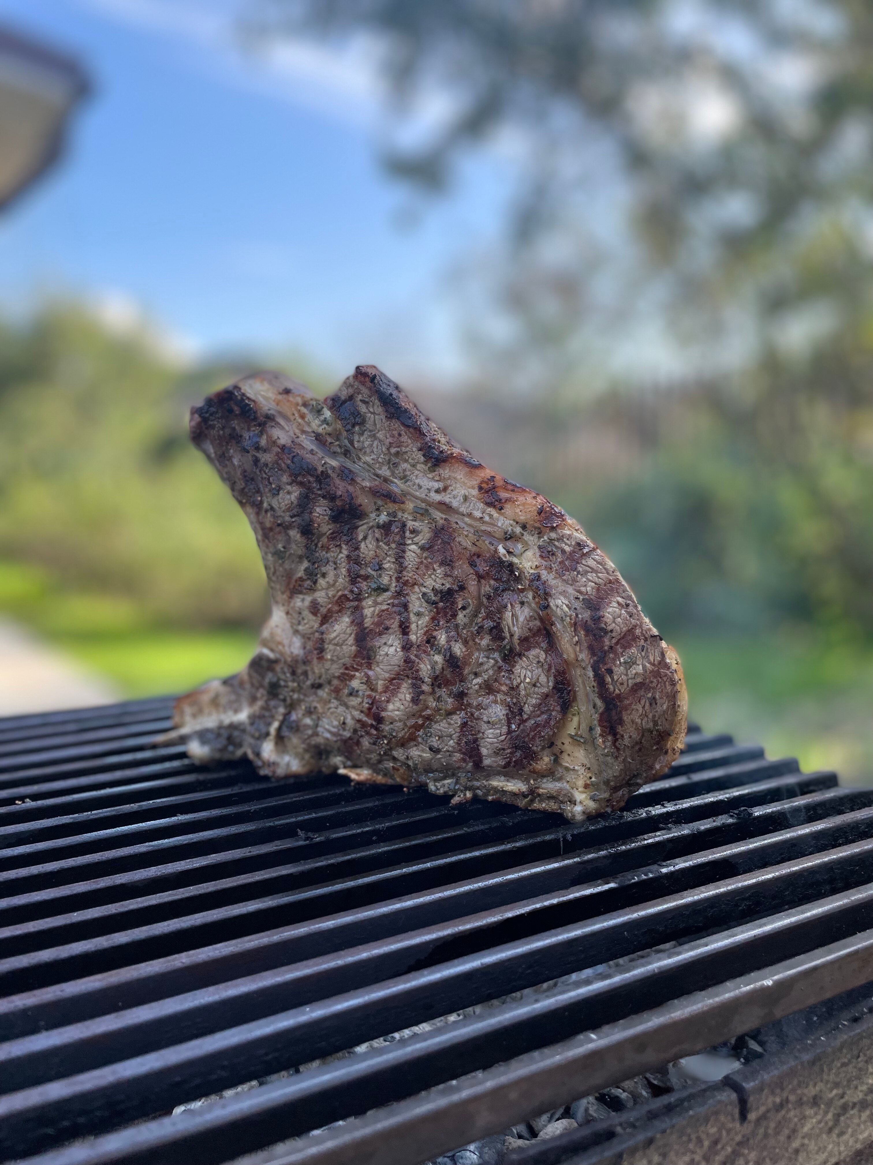 Фото ДомСорок